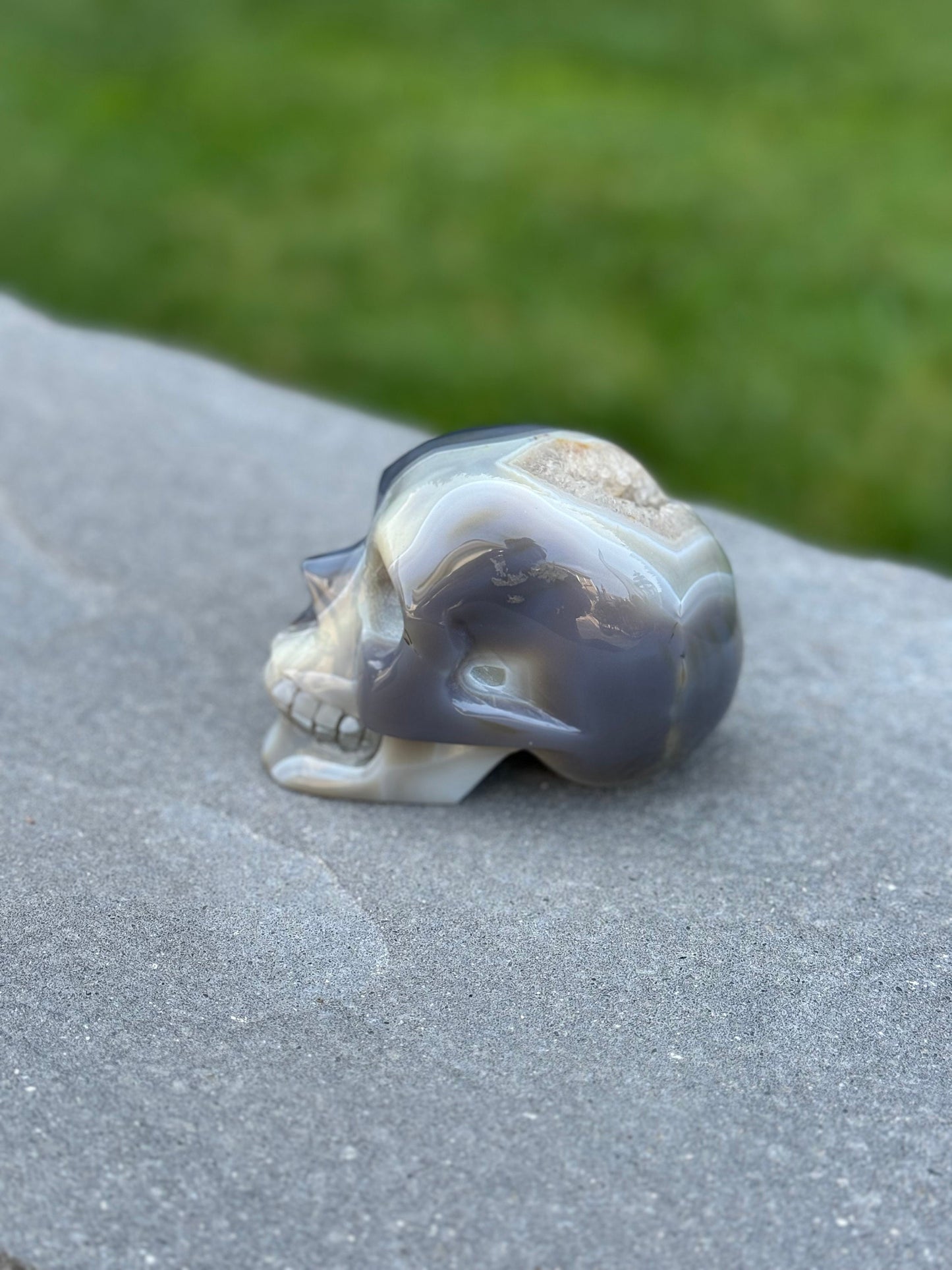 Druzy Banded Agate Dendritic Skull Carving (4.3")