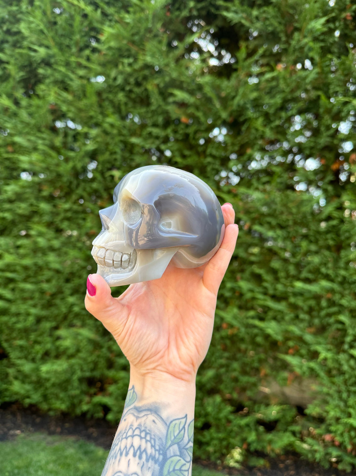 Druzy Banded Agate Dendritic Skull Carving (4.3")
