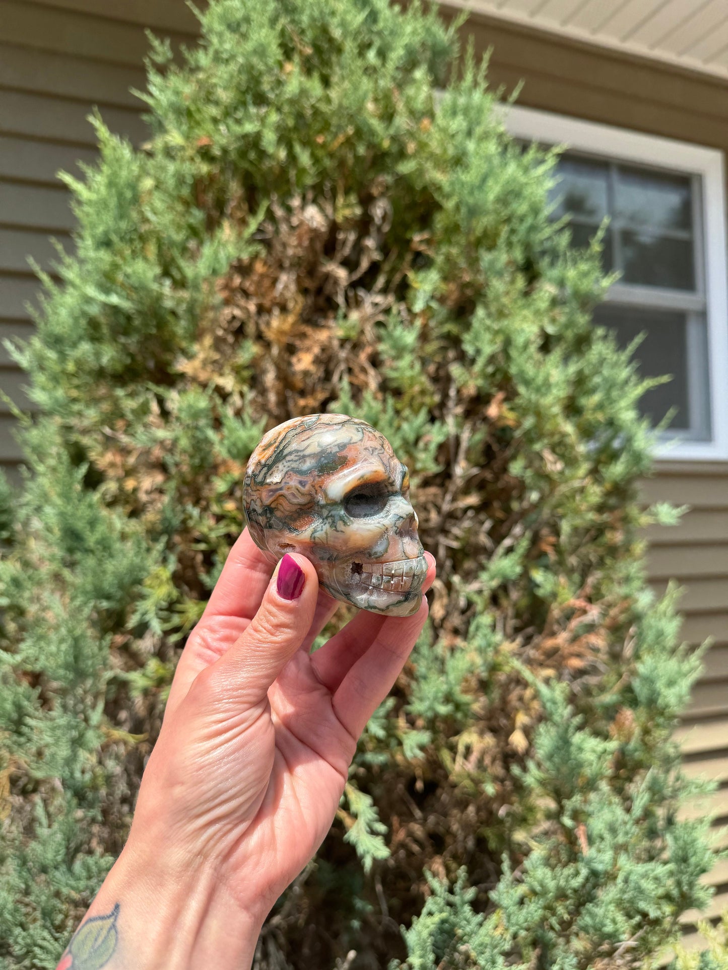 Red Moss Agate Skull