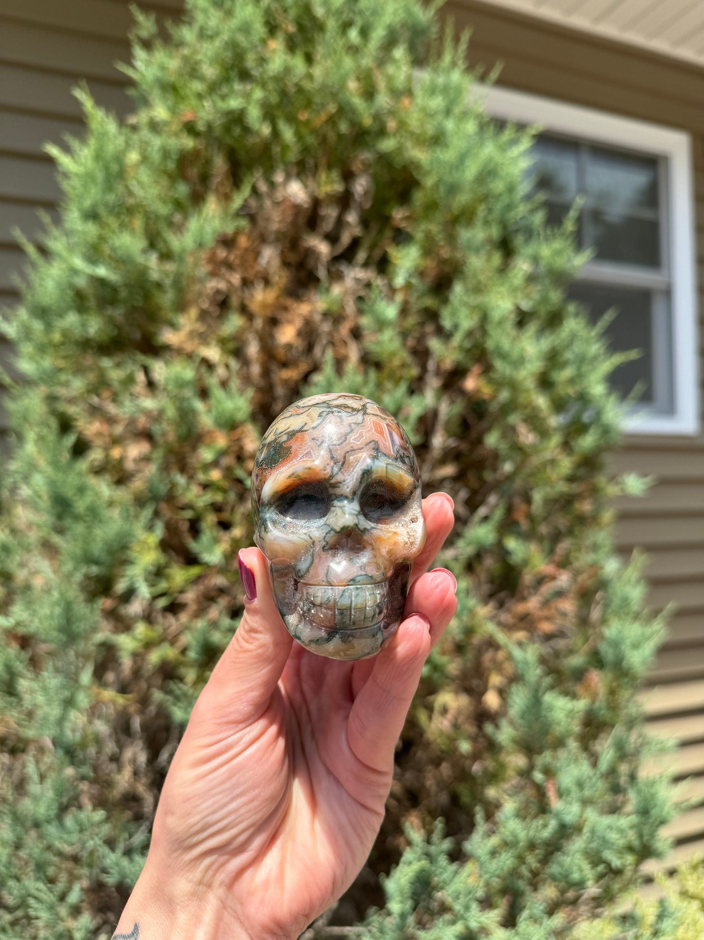 Red Moss Agate Skull