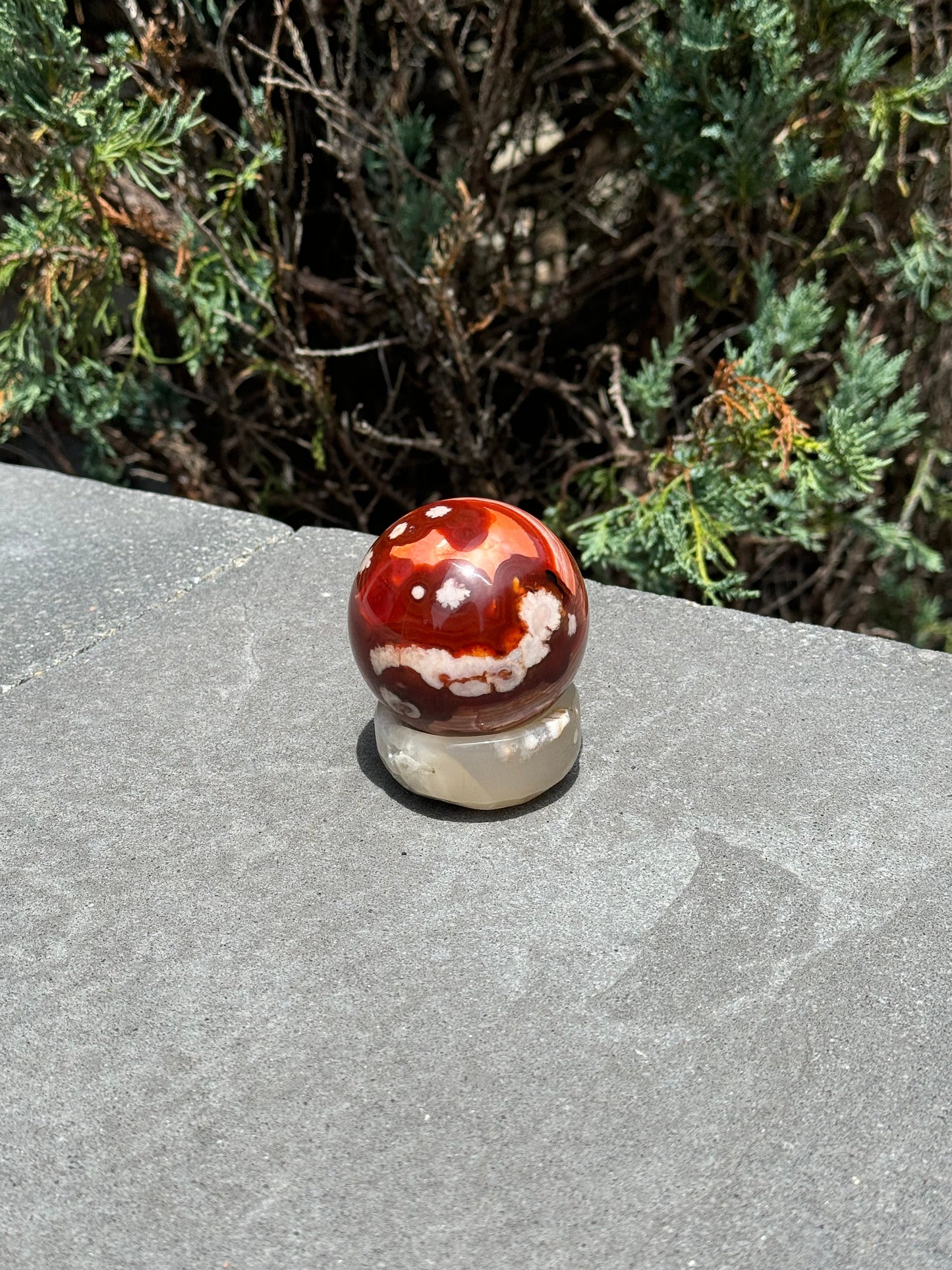 Carnelian & Flower Agate Sphere (59MM)