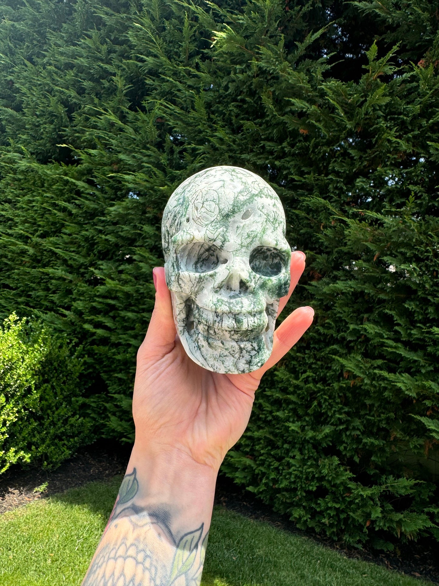 Tree Agate Hi-Def Skull Carving (4.5")
