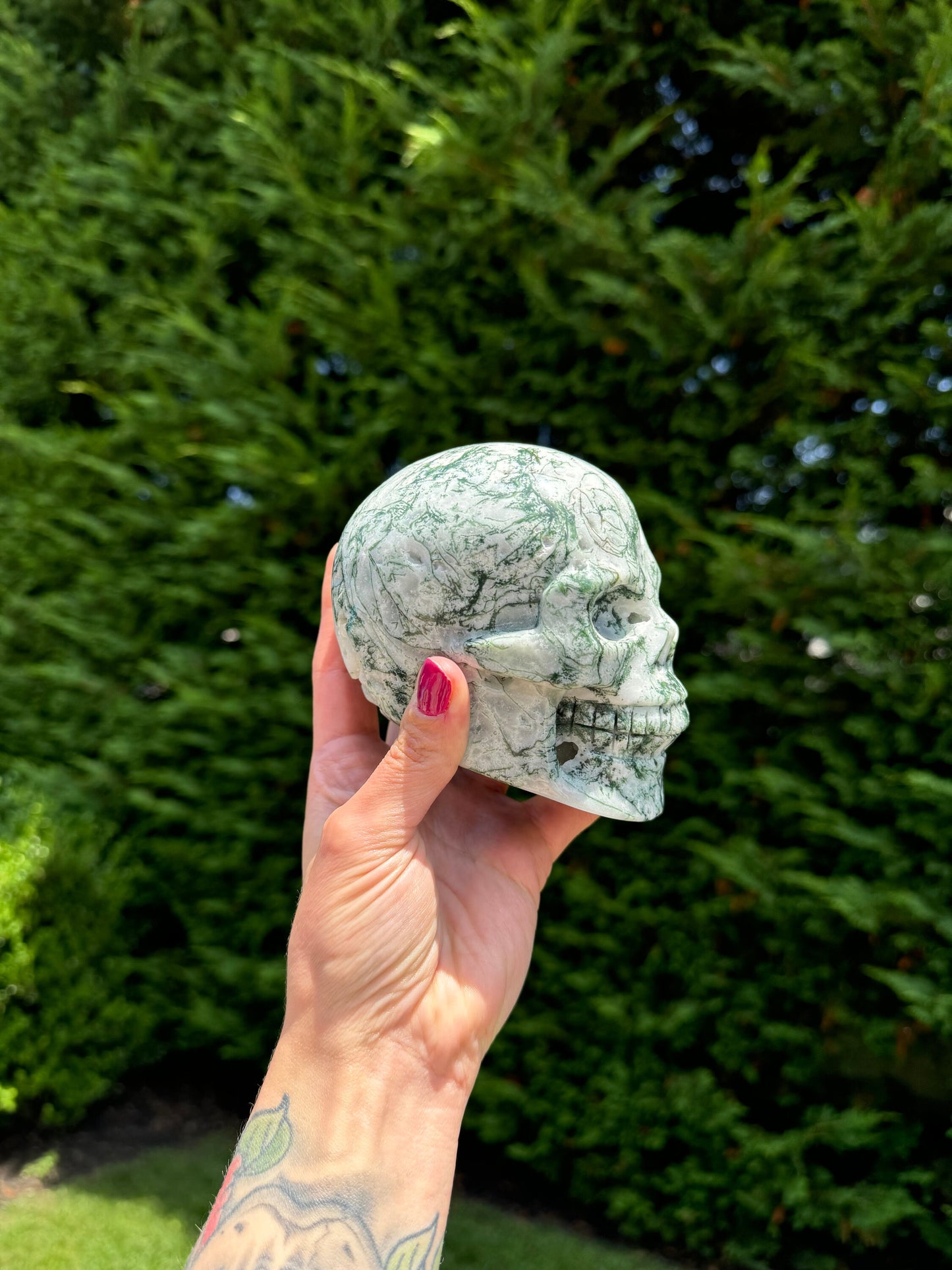 Tree Agate Hi-Def Skull Carving (4.5")