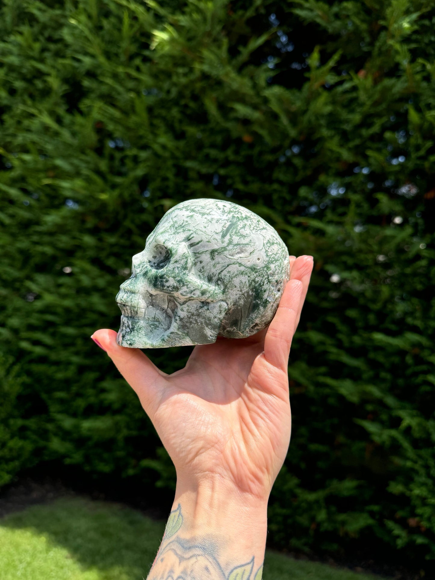 Tree Agate Hi-Def Skull Carving (4.5")