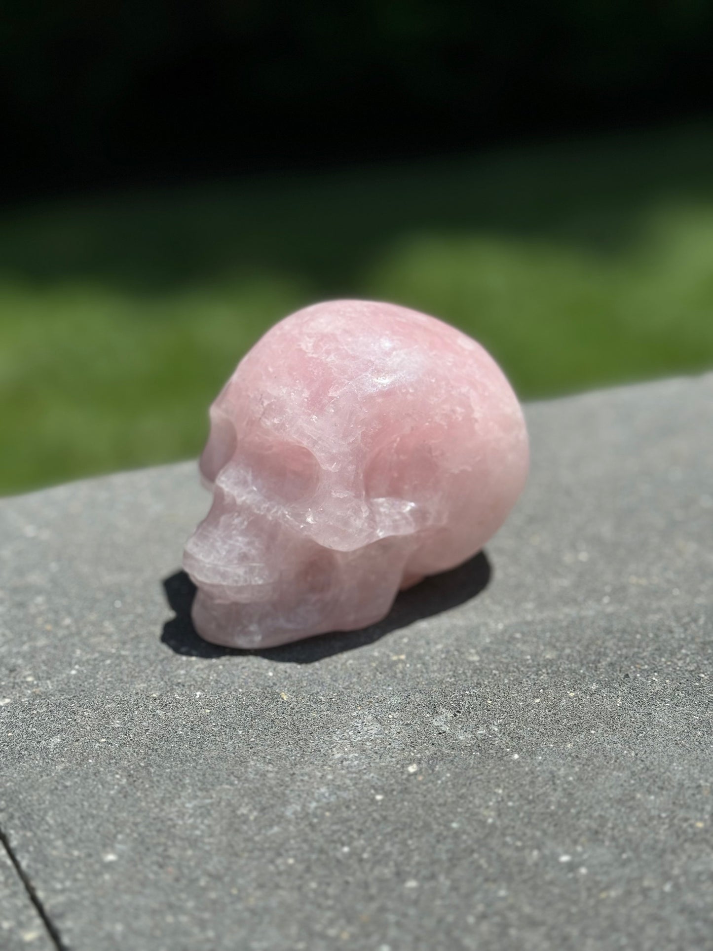 Rose Quartz Skull Carving (3.75")