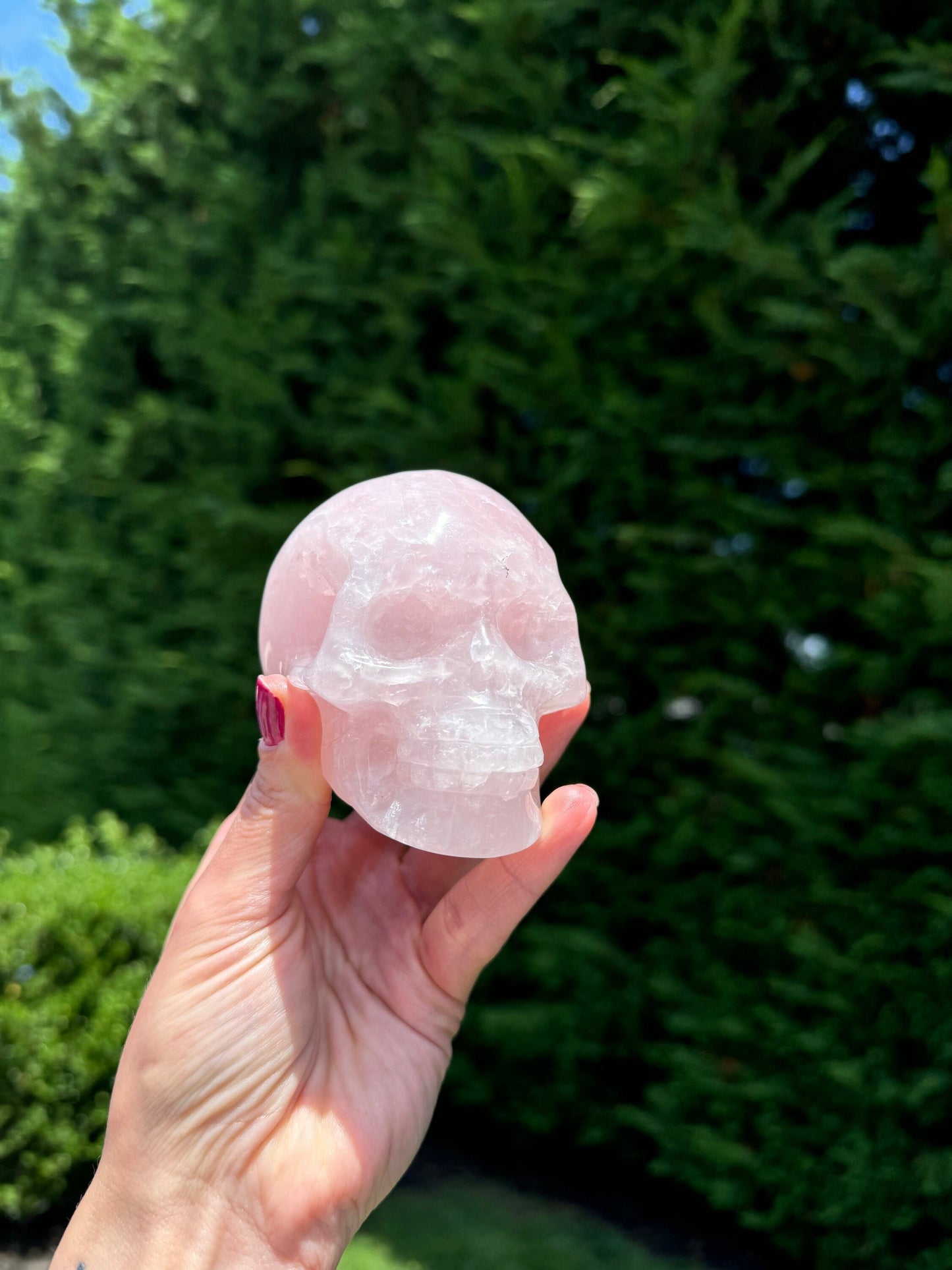 Rose Quartz Skull Carving (3.75")