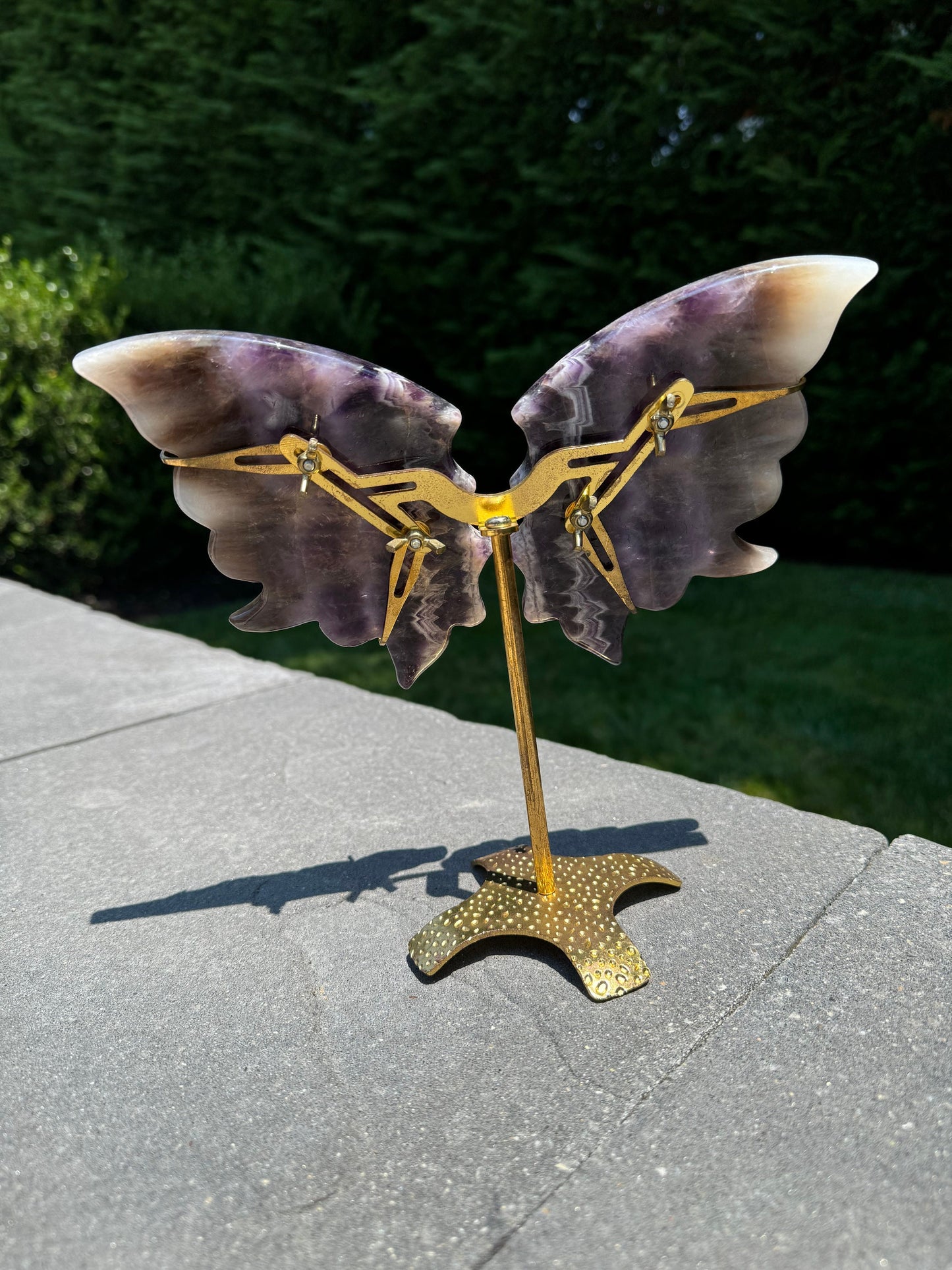 Chevron Amethyst Butterfly Wings