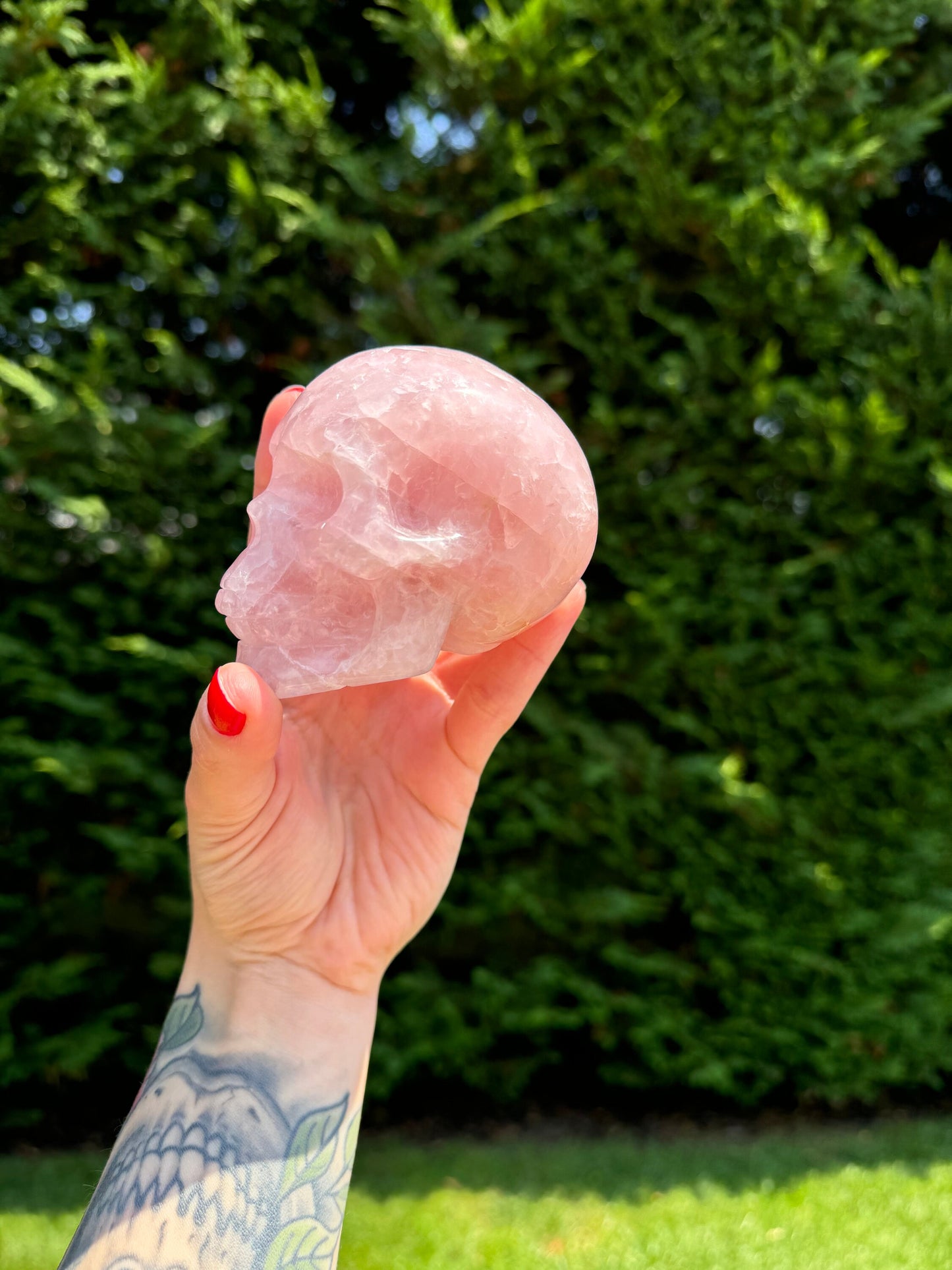 Rose Quartz Skull Carving (3.65")