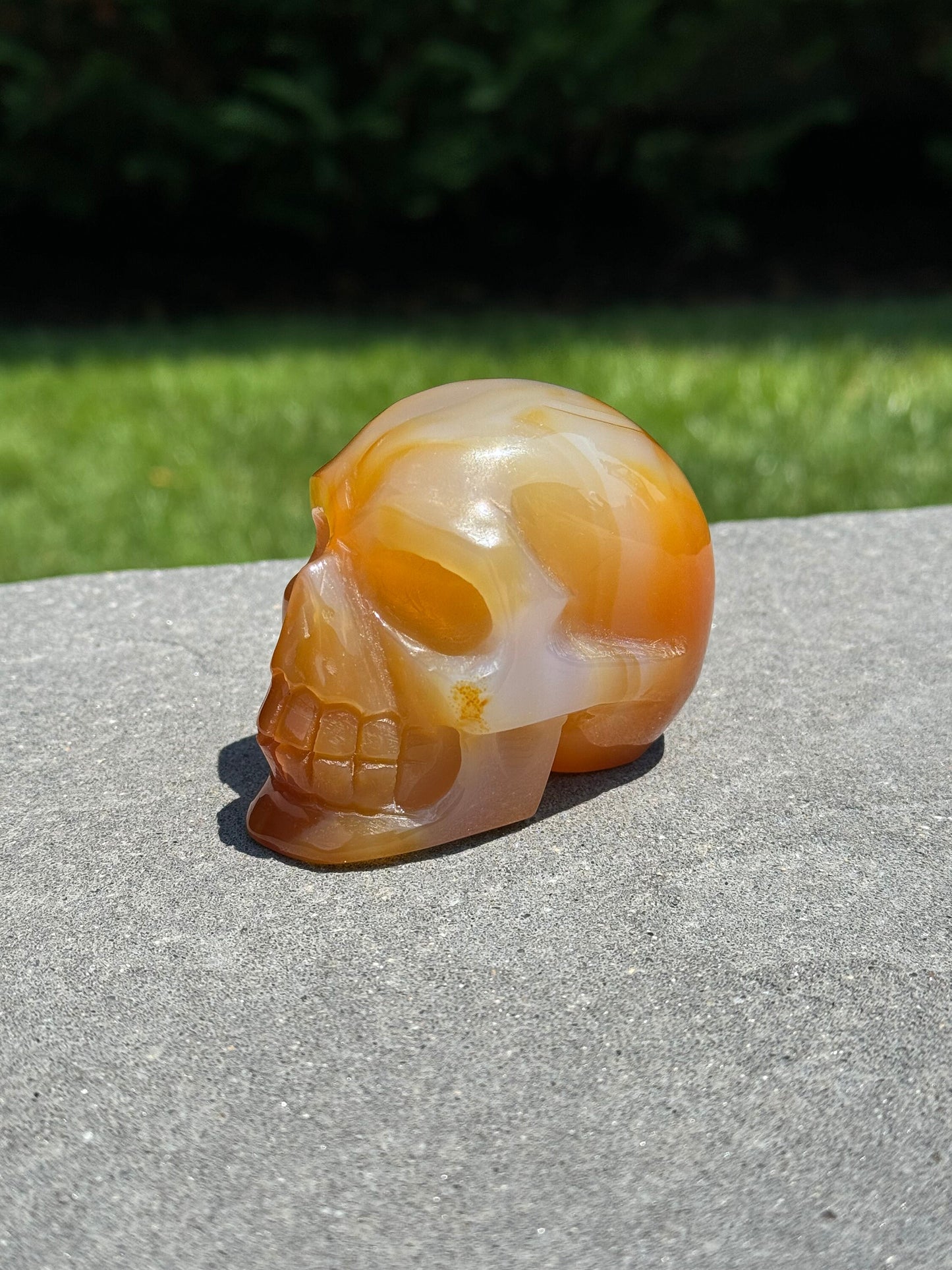 Carnelian Skull Carving