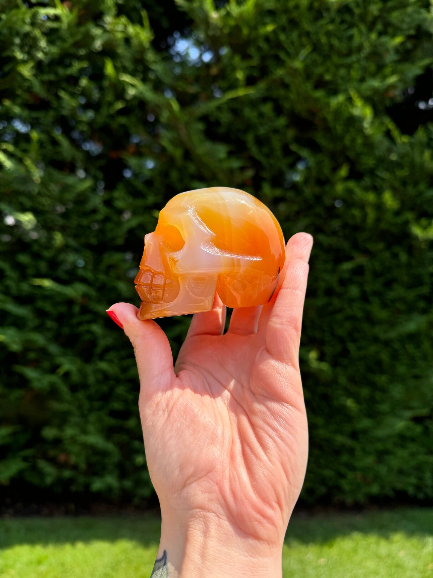 Carnelian Skull Carving
