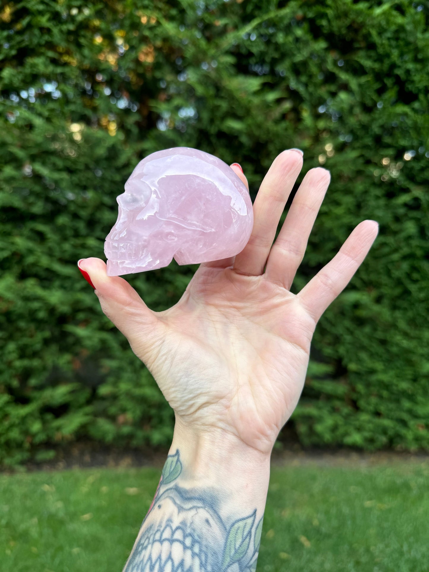 Rose Quartz Skull Carving (2.25")