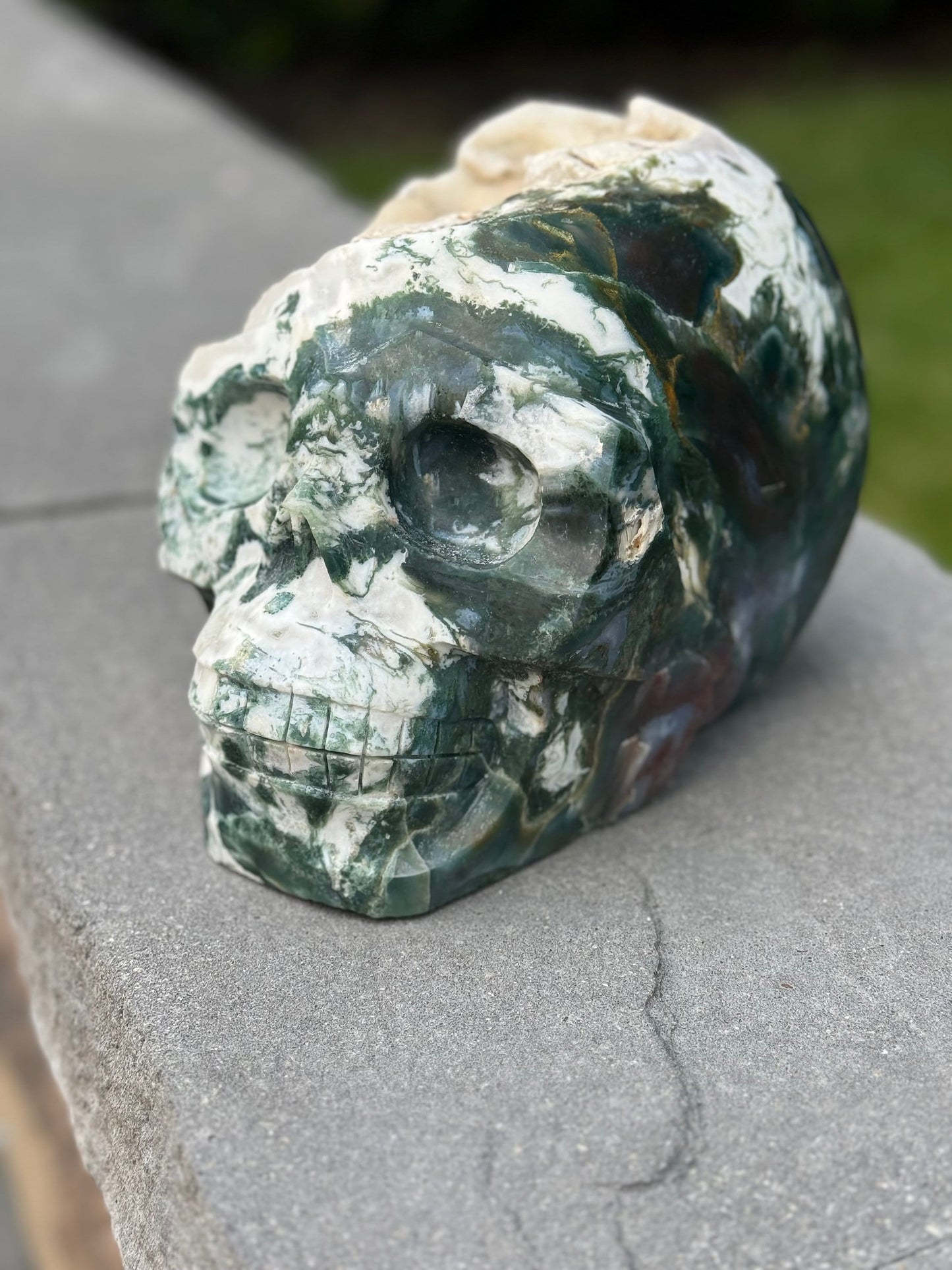 XL Red Moss Agate Hi-Def Skull Carving (17.5lbs)