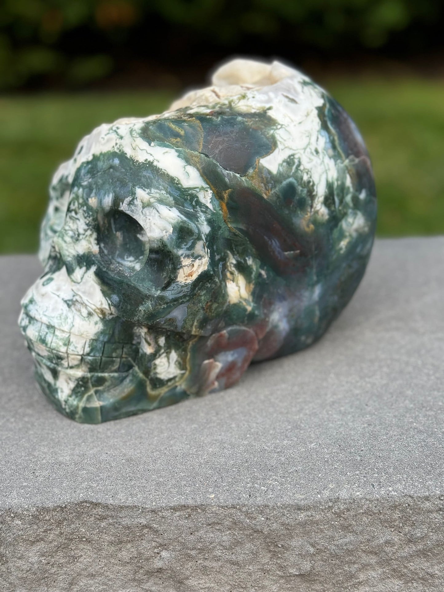 XL Red Moss Agate Hi-Def Skull Carving (17.5lbs)