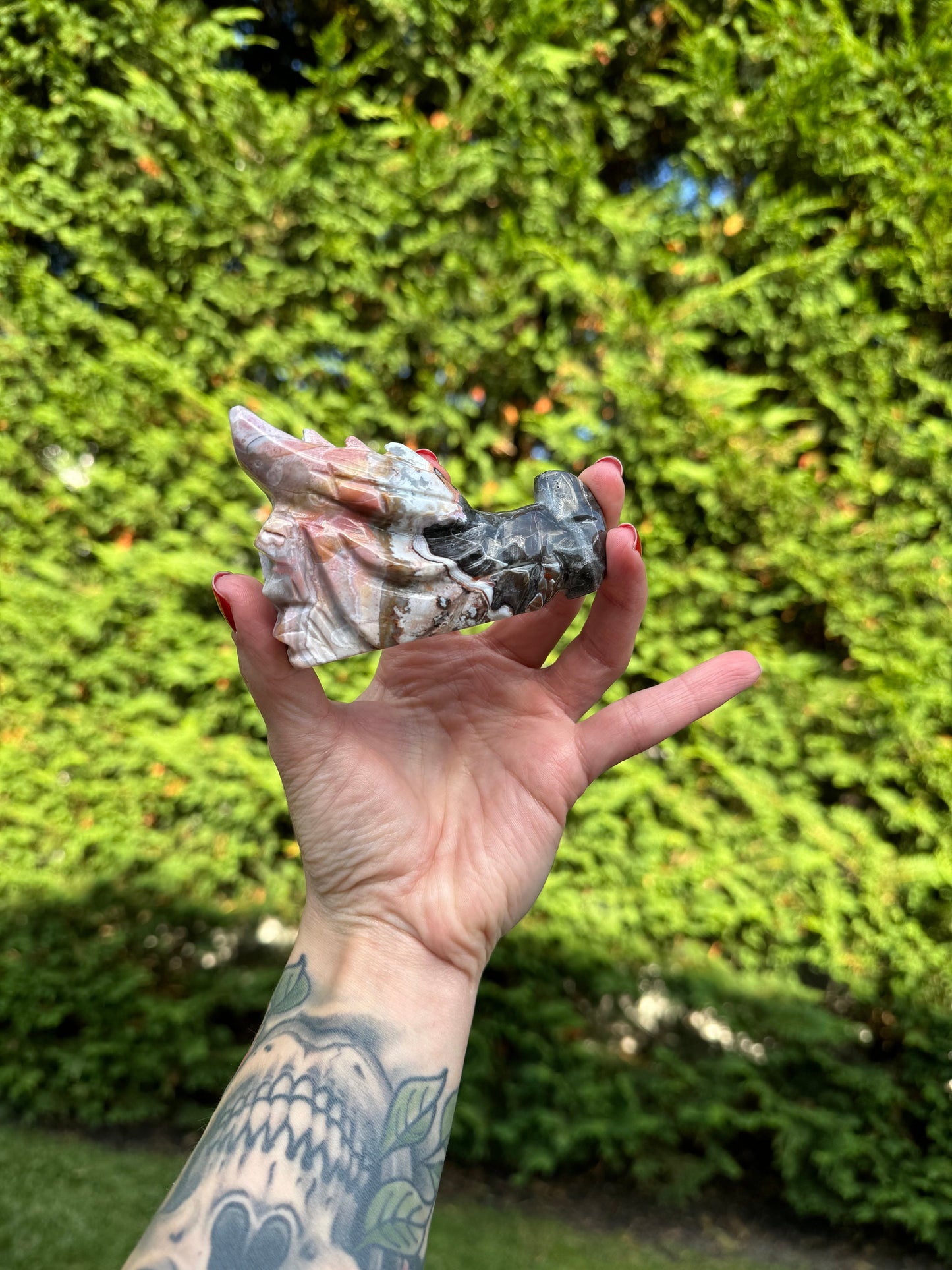 Mexican Crazy Lace Agate Dragon Head Carving