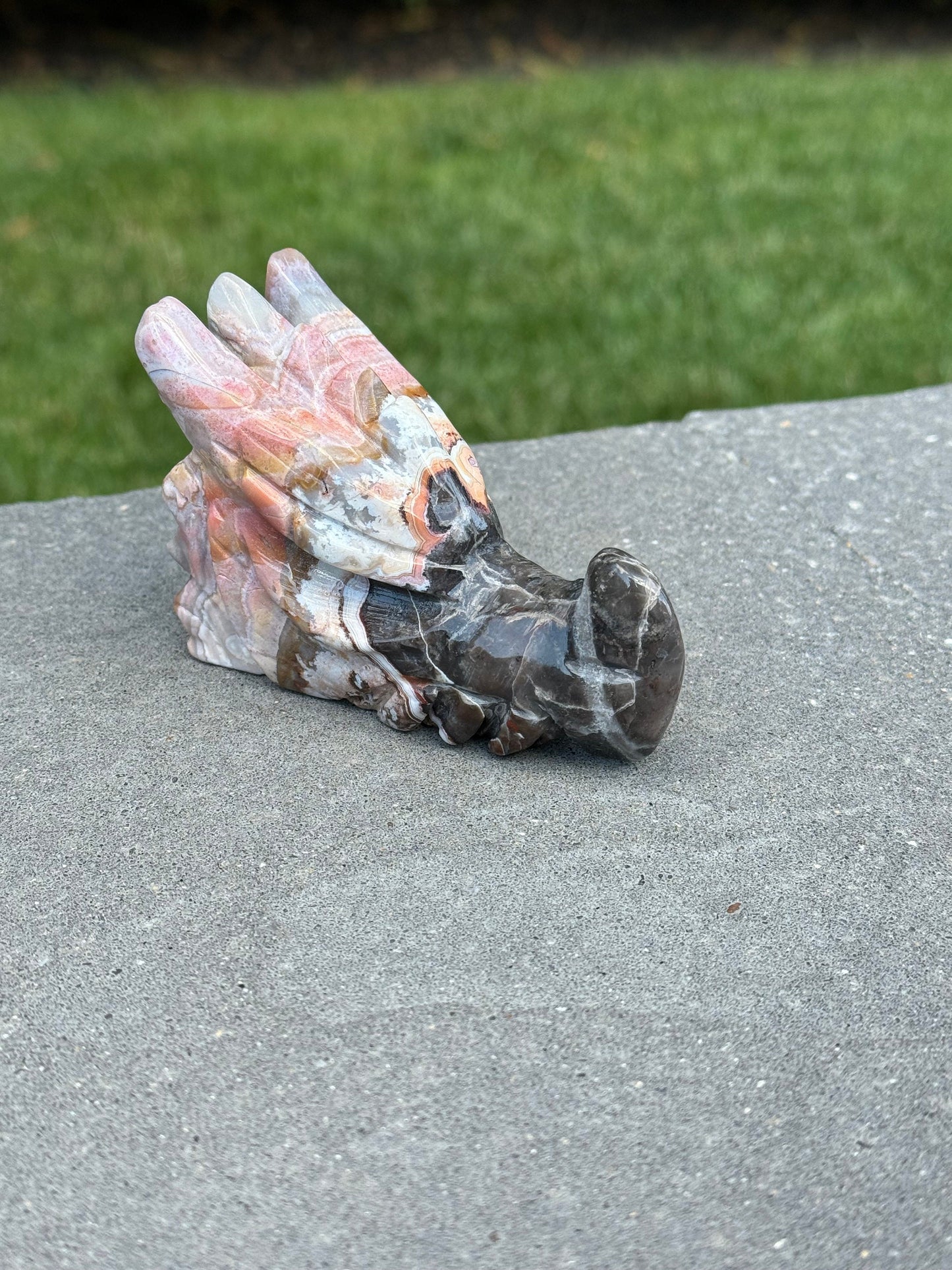 Mexican Crazy Lace Agate Dragon Head Carving