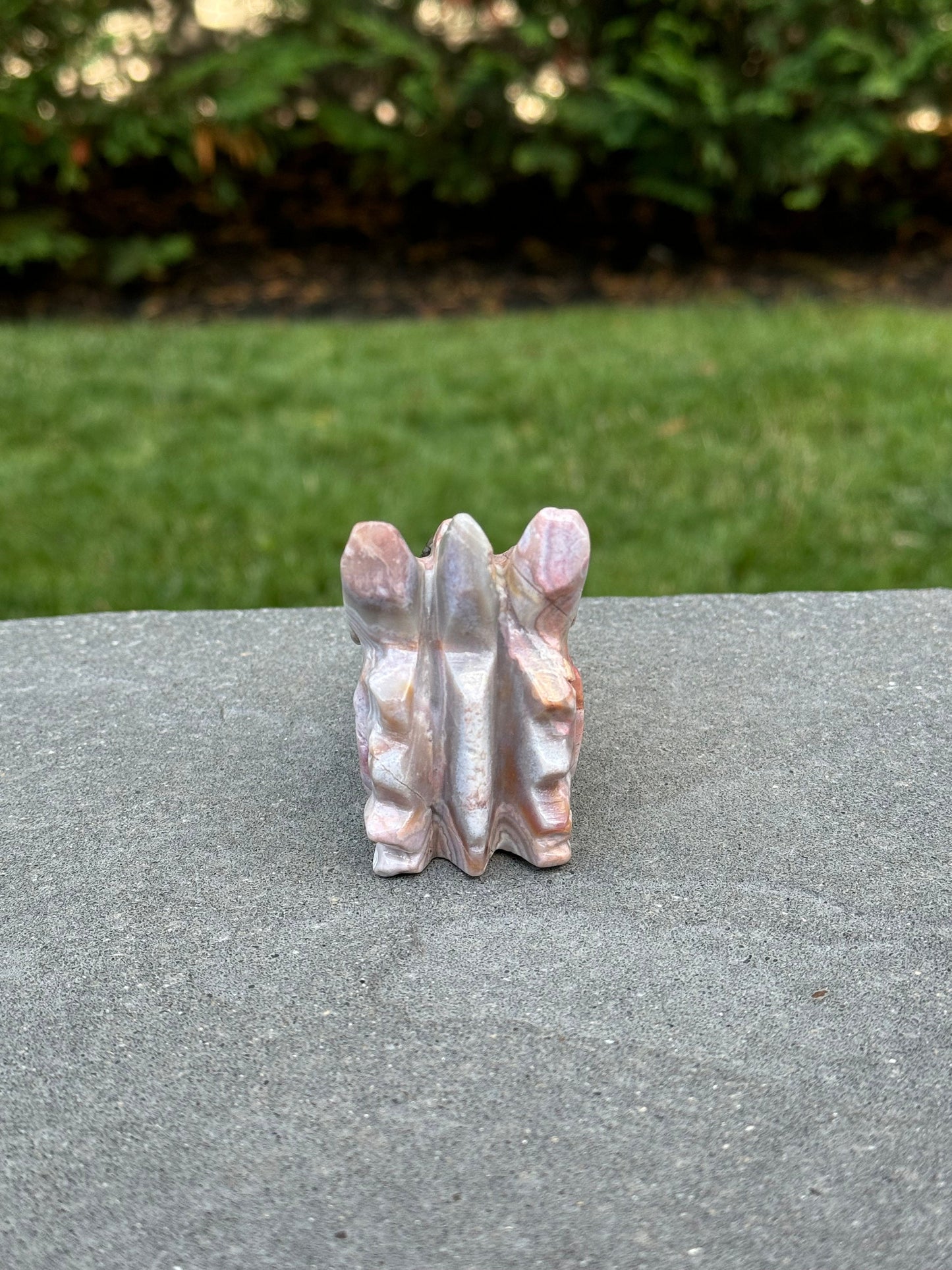 Mexican Crazy Lace Agate Dragon Head Carving