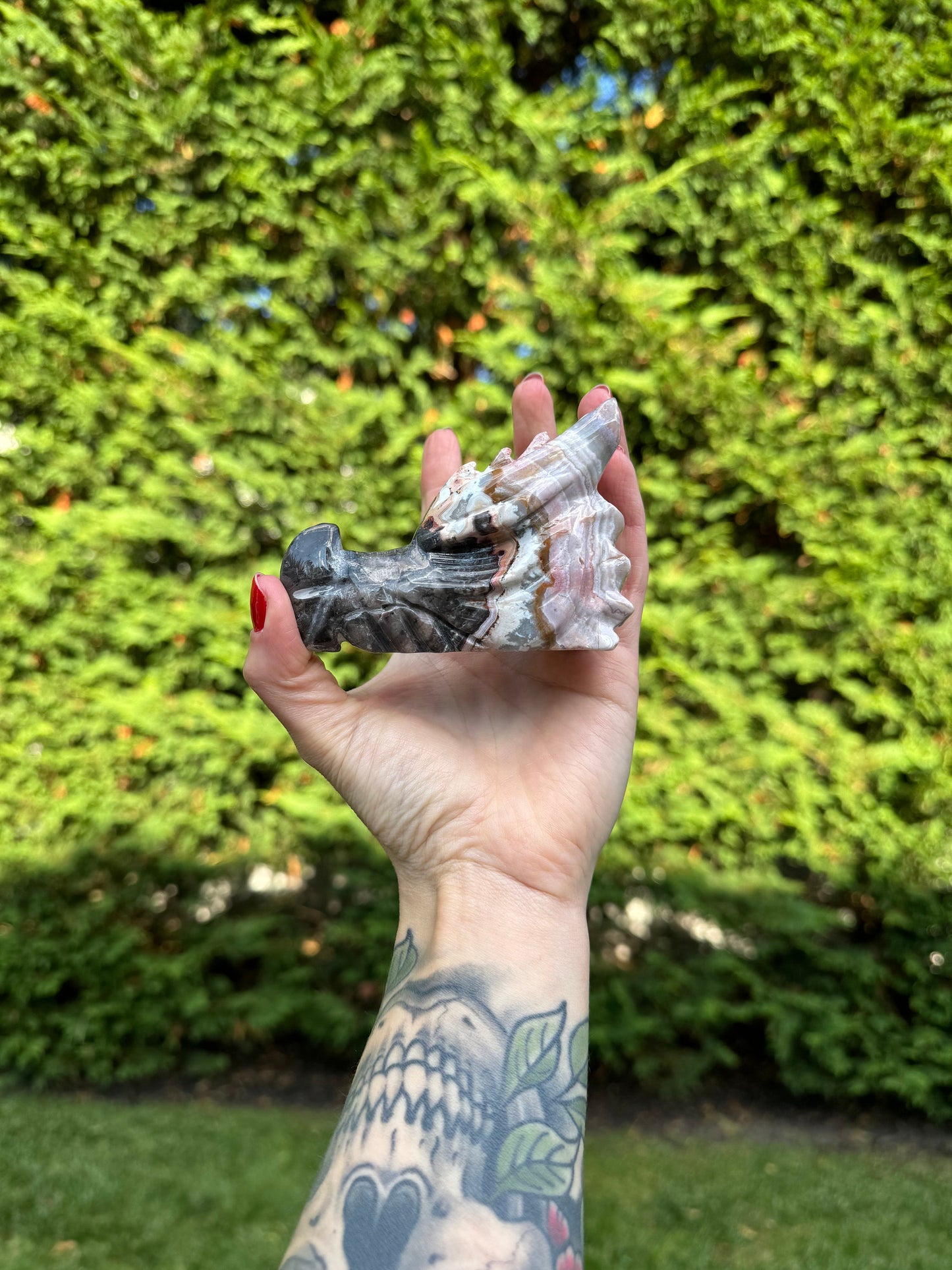 Mexican Crazy Lace Agate Dragon Head Carving