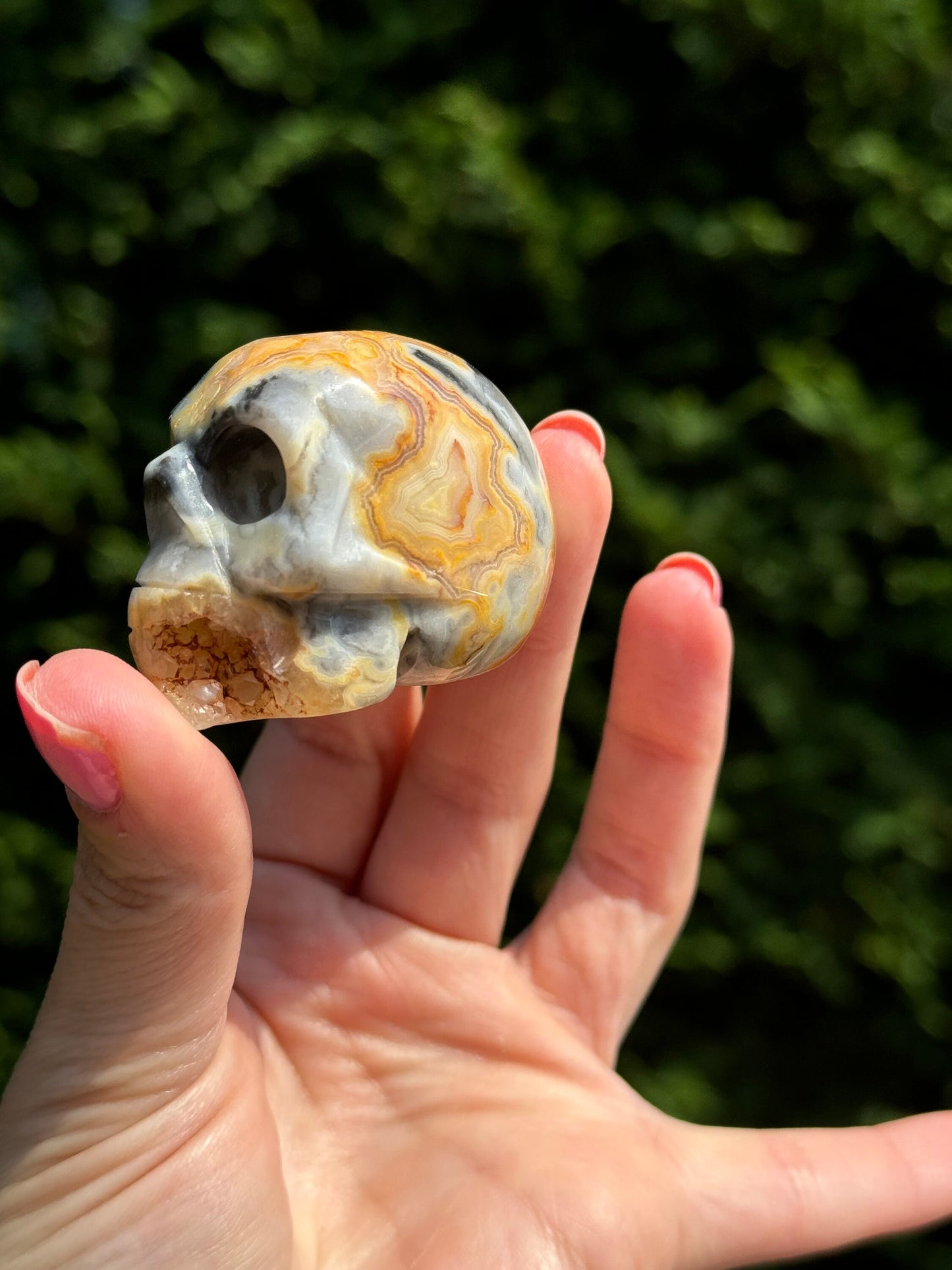 Druzy Crazy Lace Agate Skull
