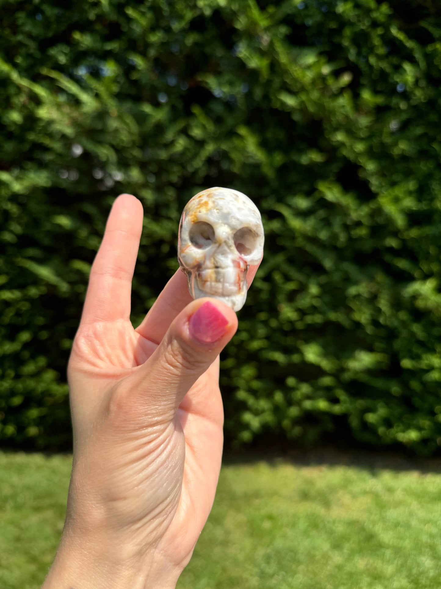 Druzy Crazy Lace Agate Skull