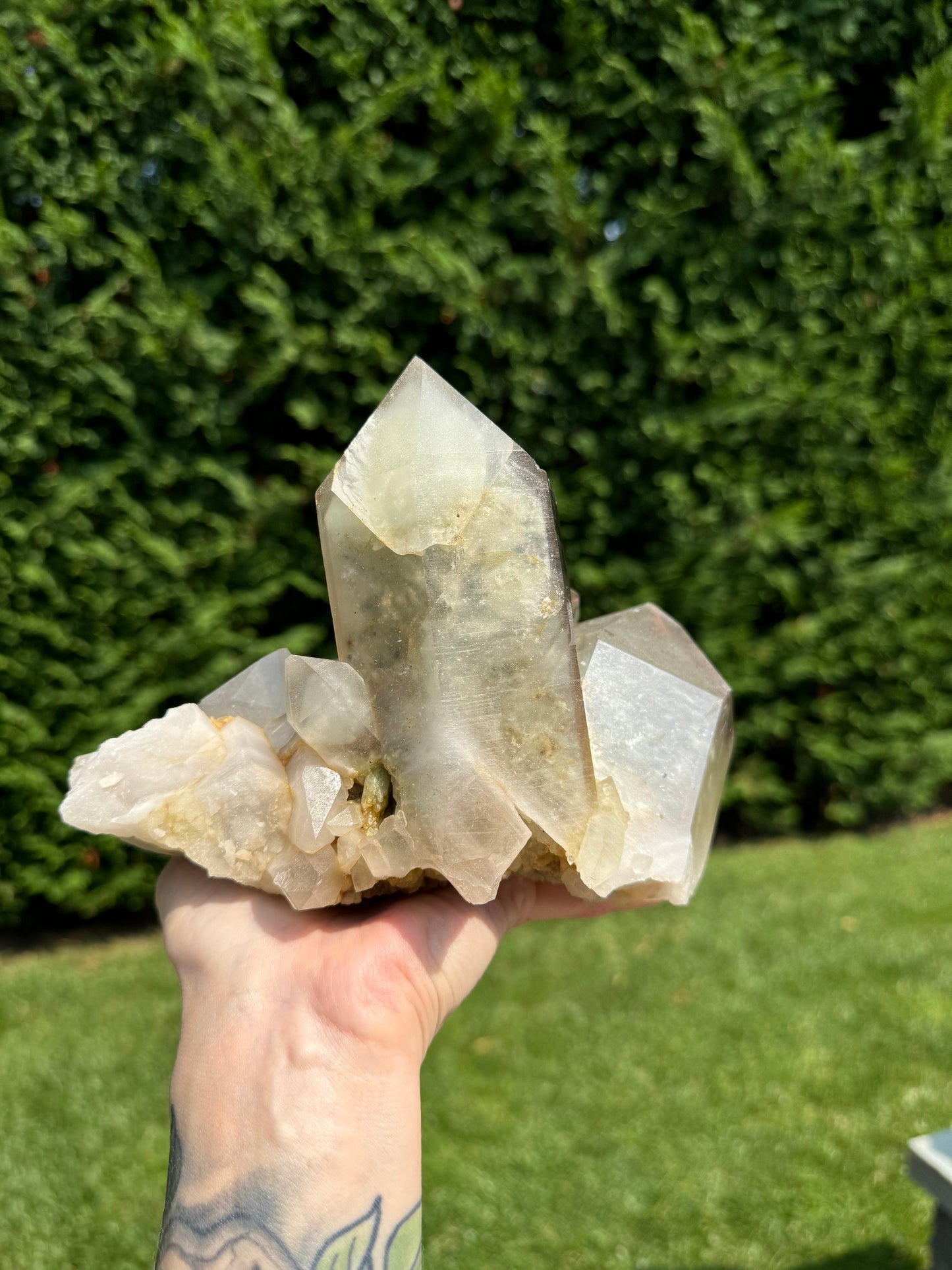 XL Included Himalayan Quartz Cluster (Kullu District, India)