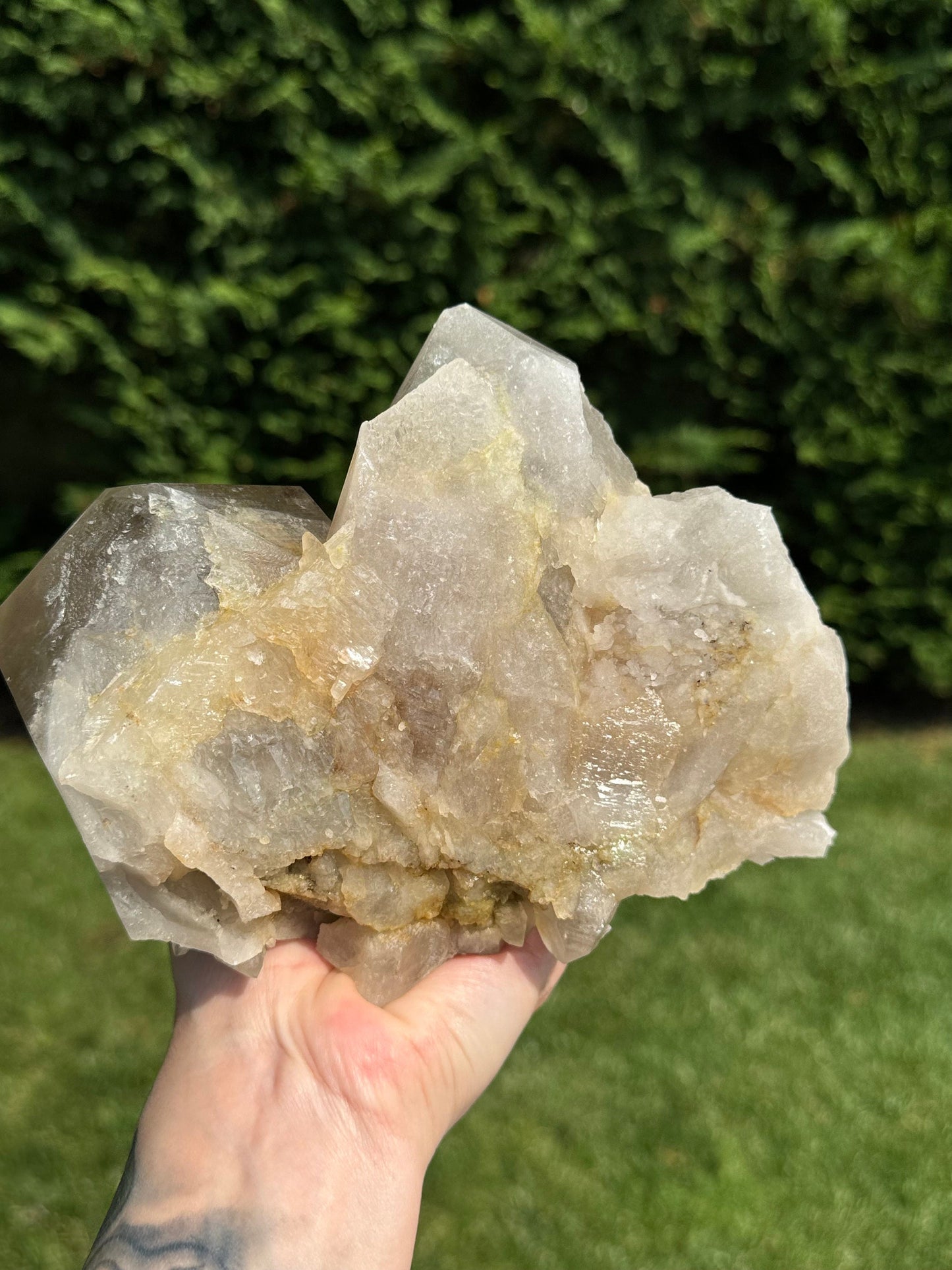 XL Included Himalayan Quartz Cluster (Kullu District, India)