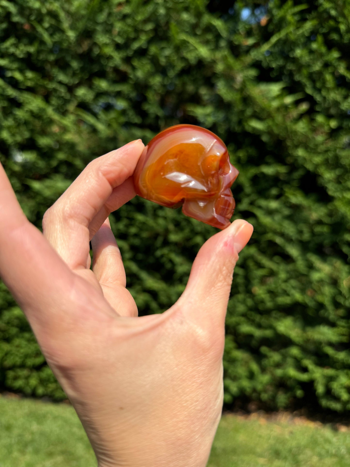 Banded Carnelian Skull Carving