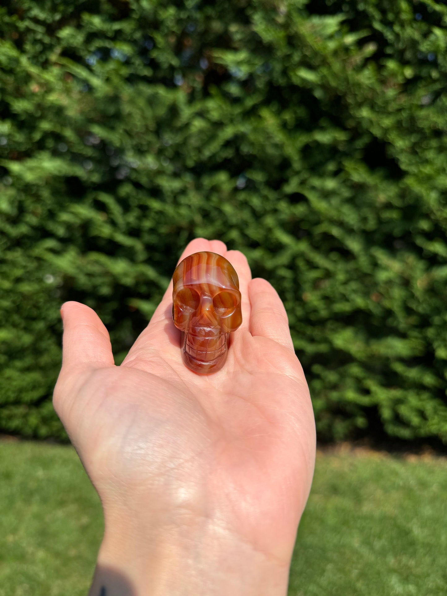 Banded Carnelian Skull Carving