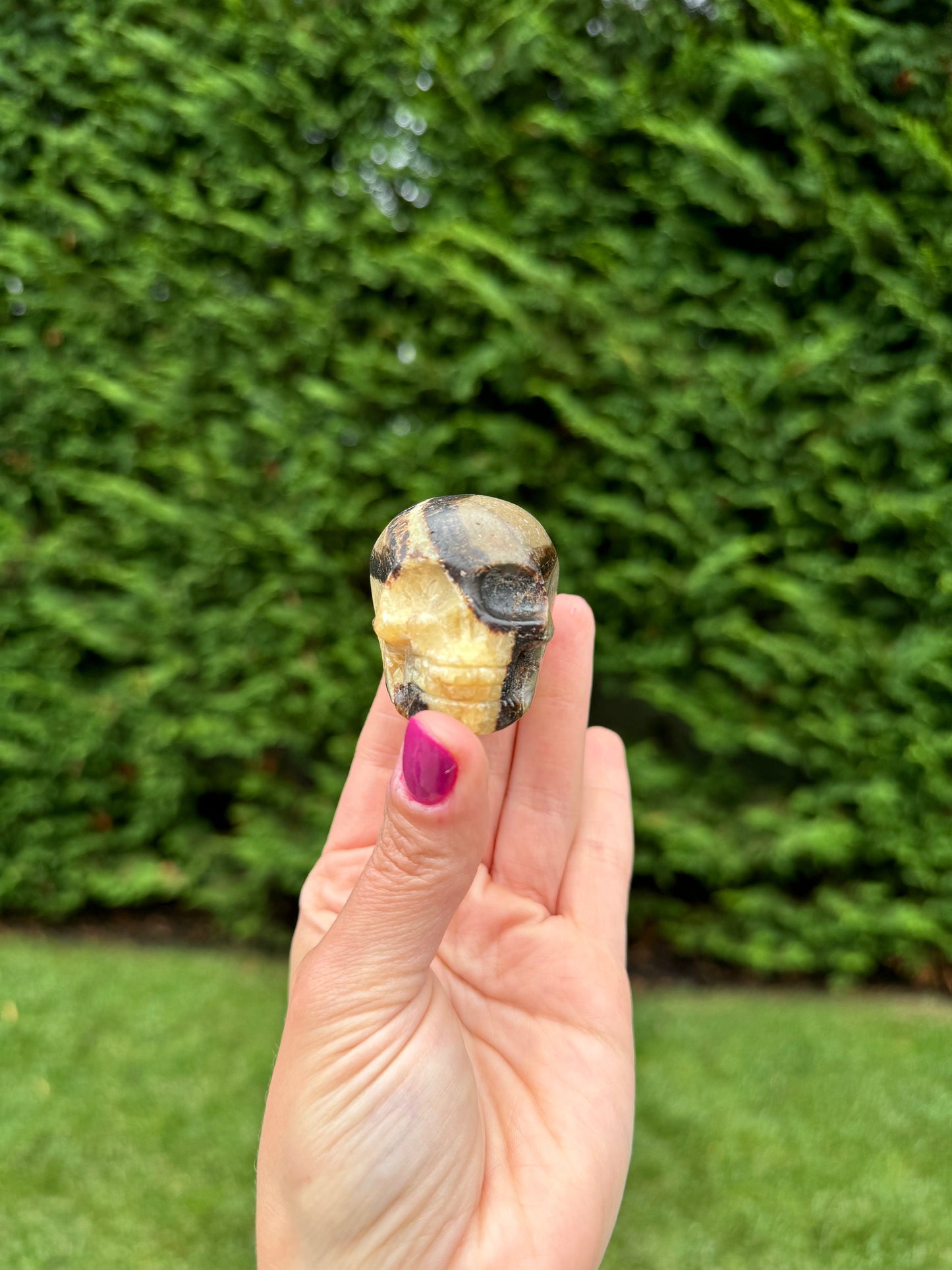 Septarian Skull Carving (2.15")