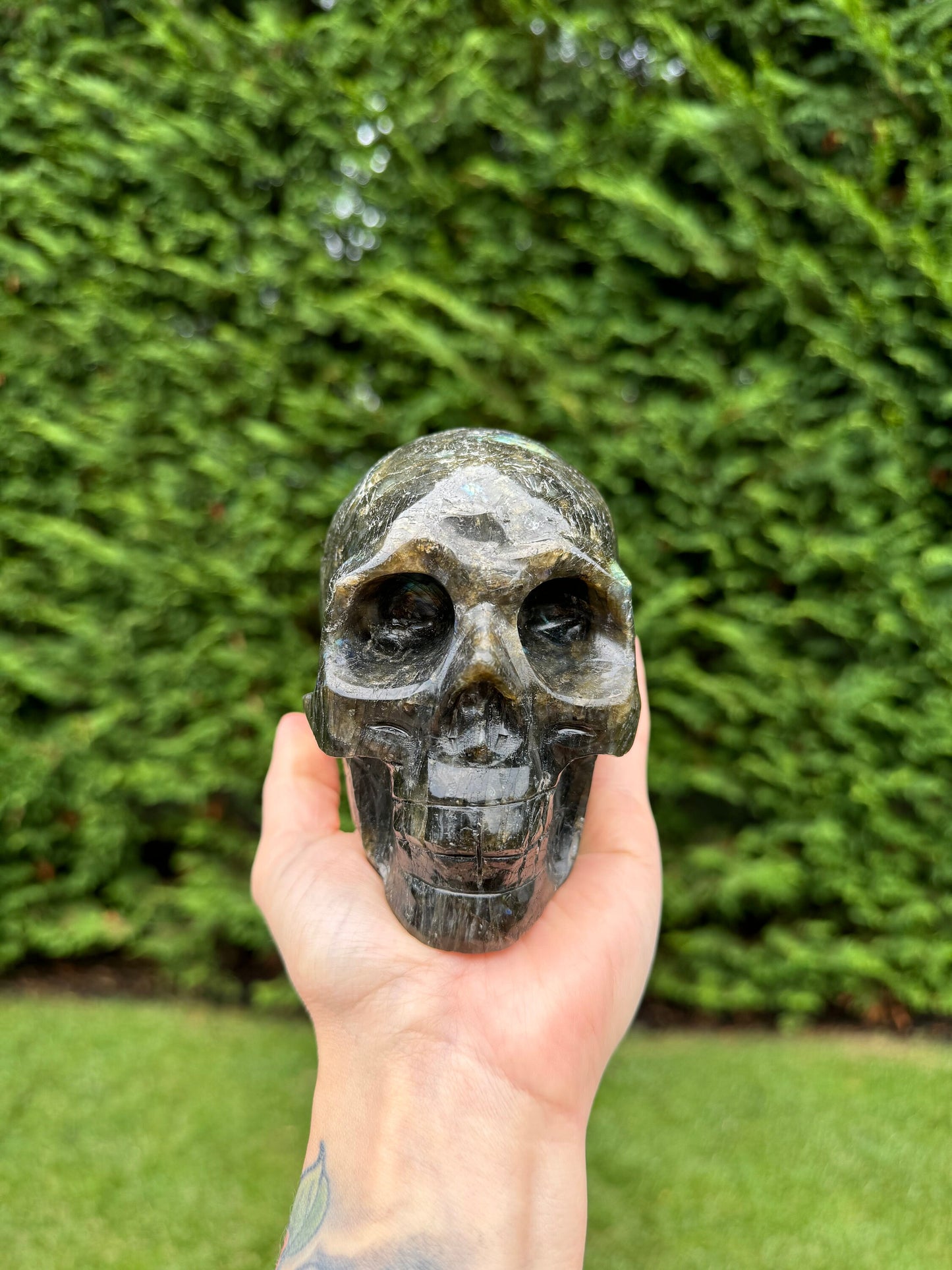 Flashy Labradorite Skull Carving (4.64")