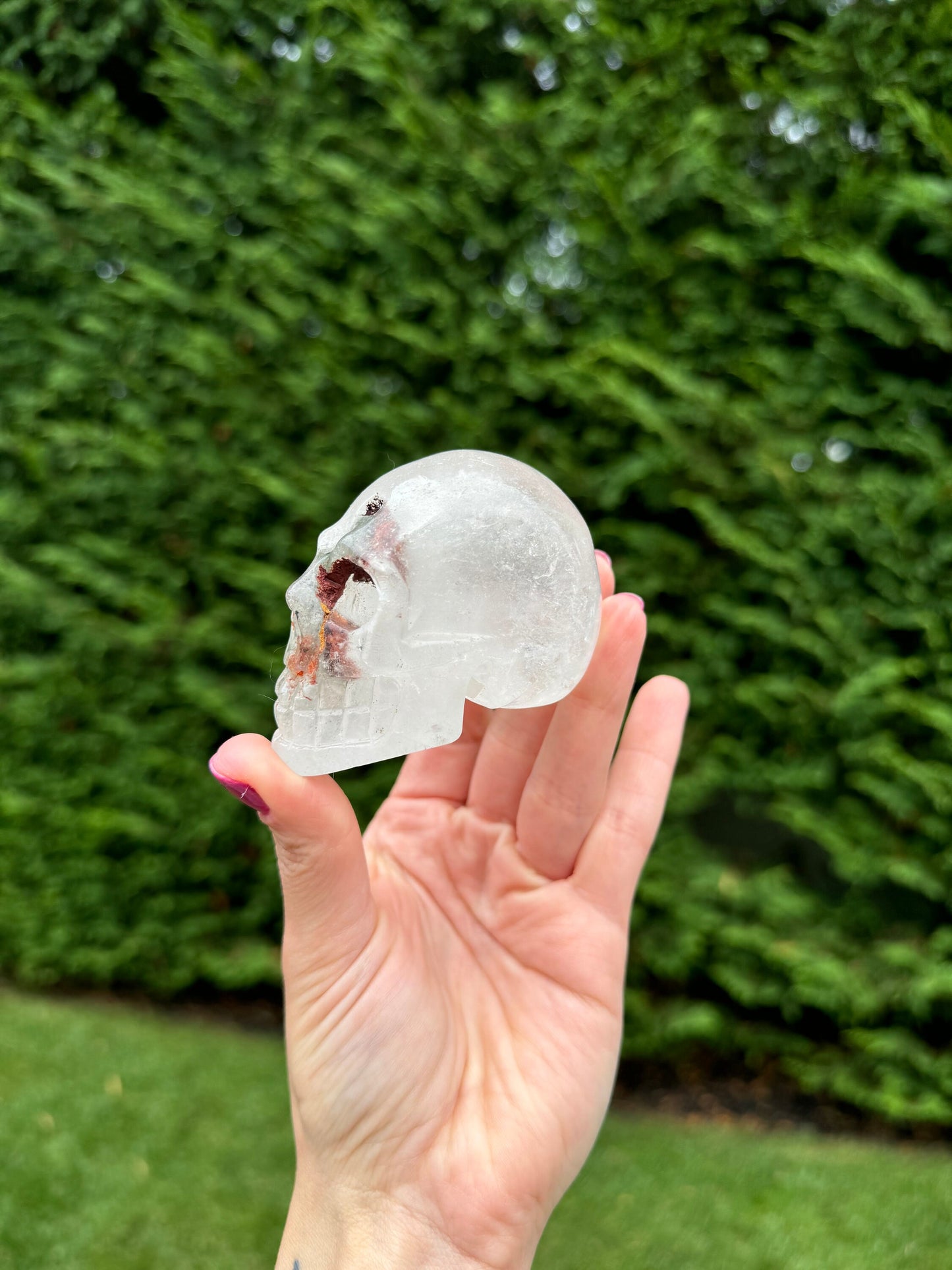 Garden Quartz Crystal Skull