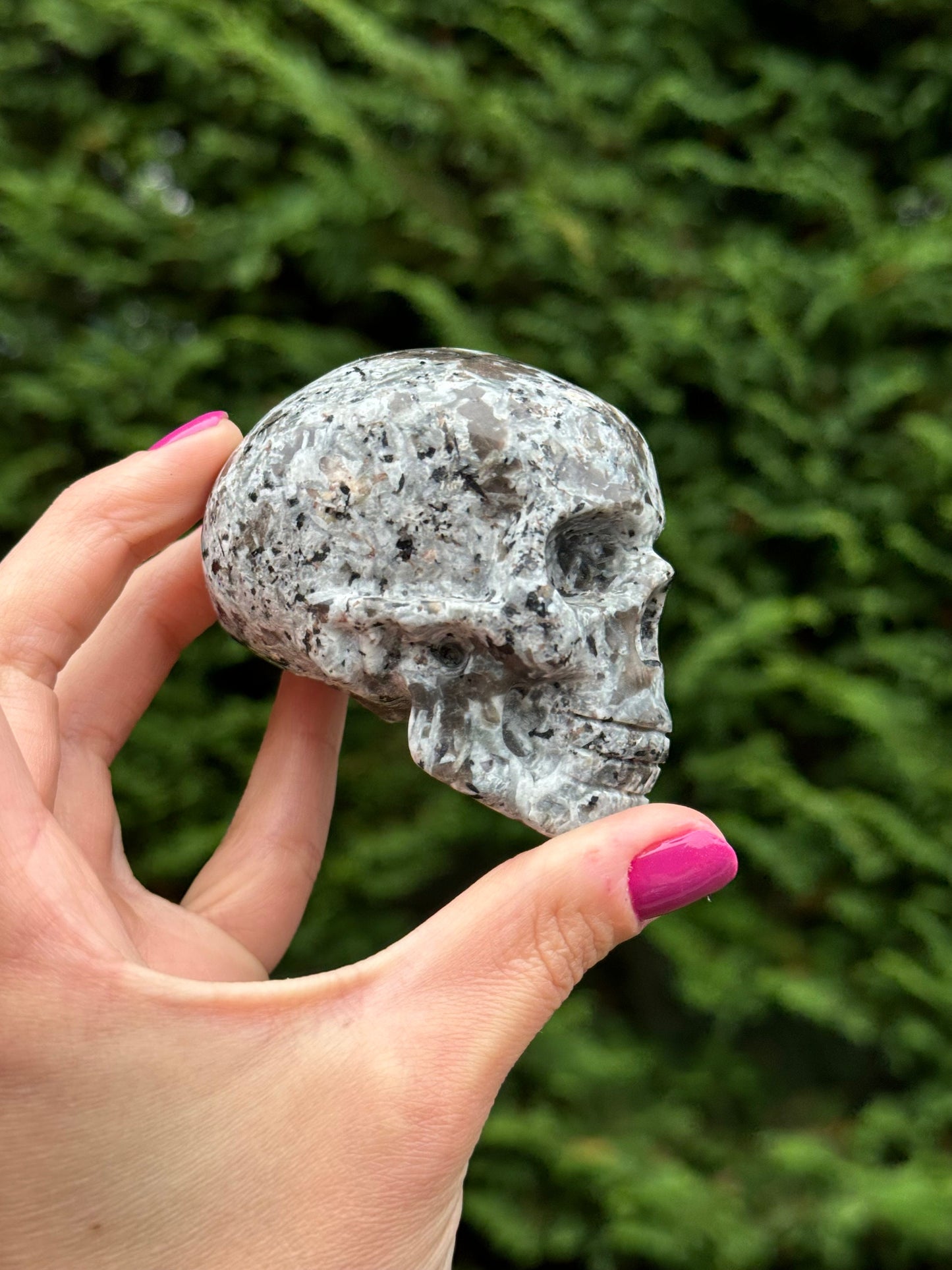 Yooperlite Skull Carving (3")