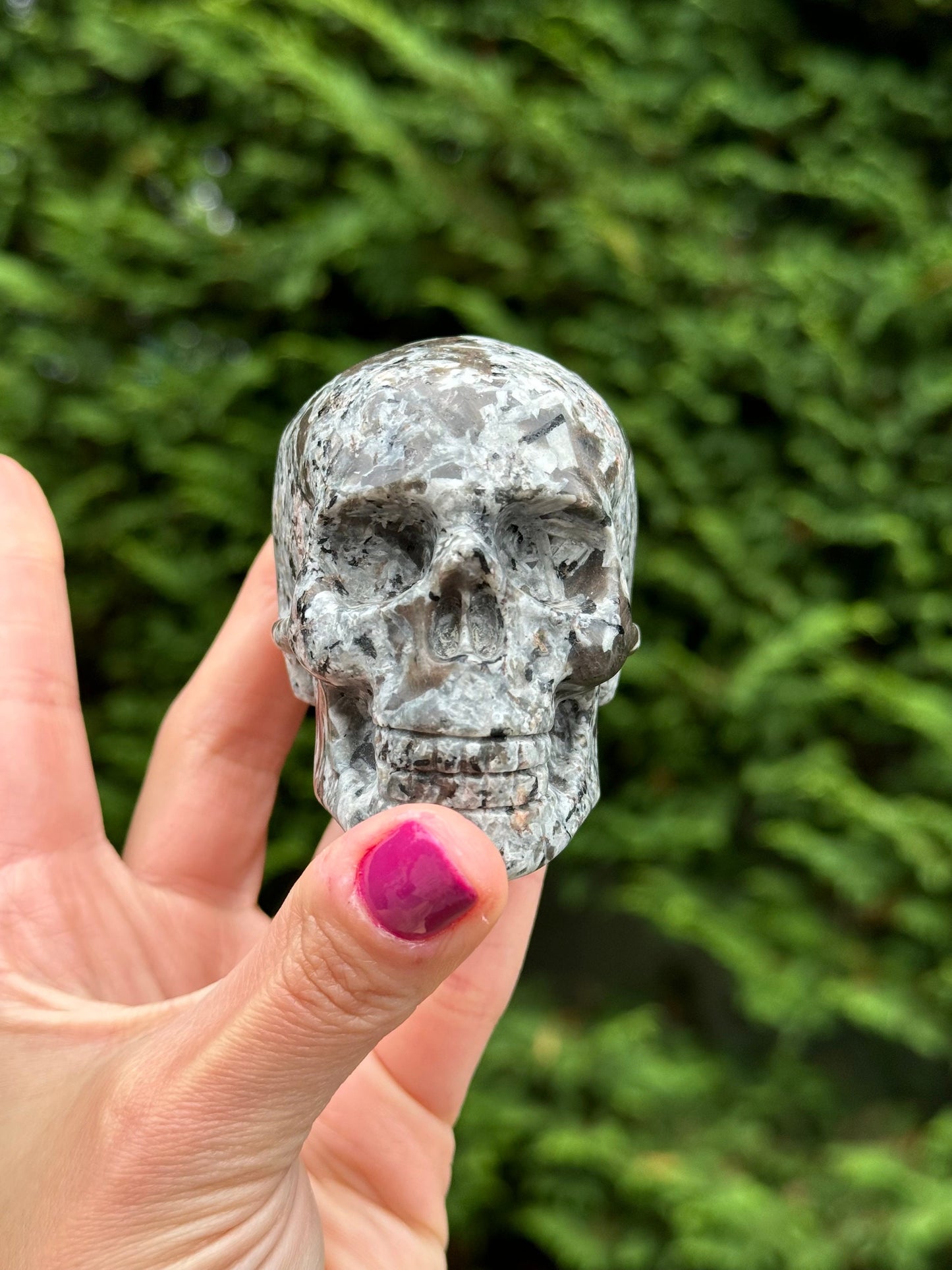 Yooperlite Skull Carving (3")