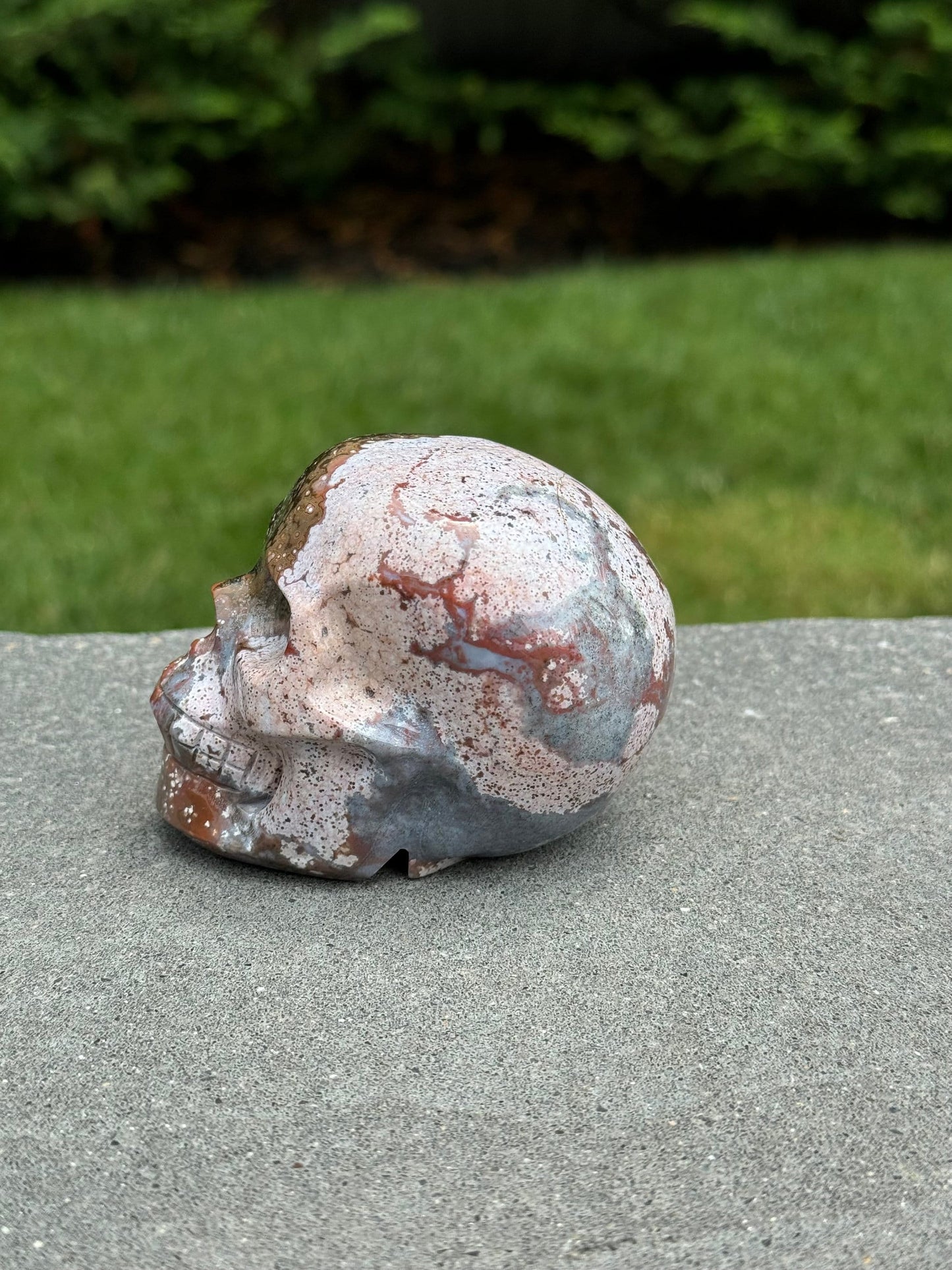 Druzy Ocean Jasper Skull Carving (3.18")