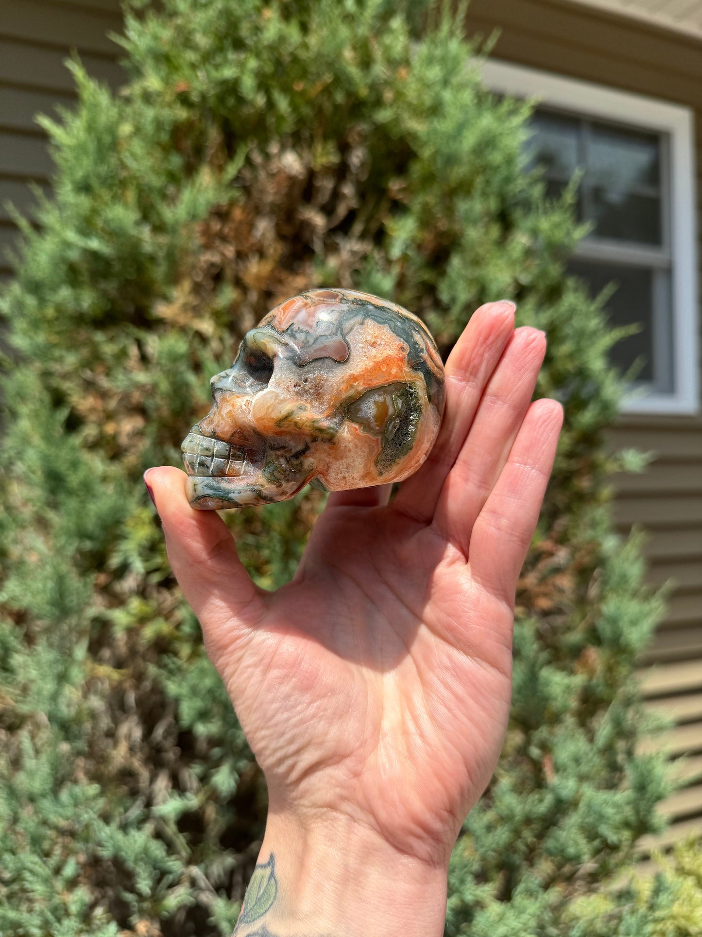 Red Moss Agate Skull