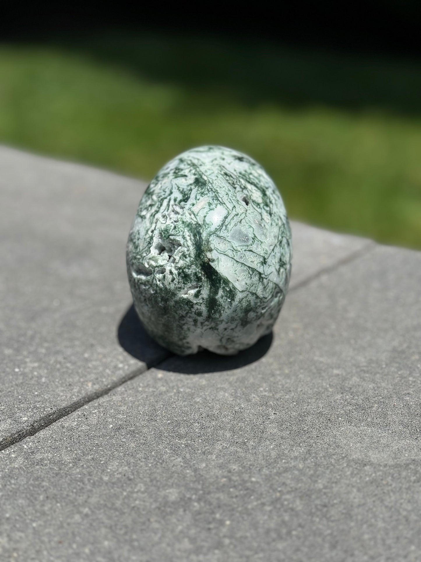Tree Agate Hi-Def Skull Carving (4.5")