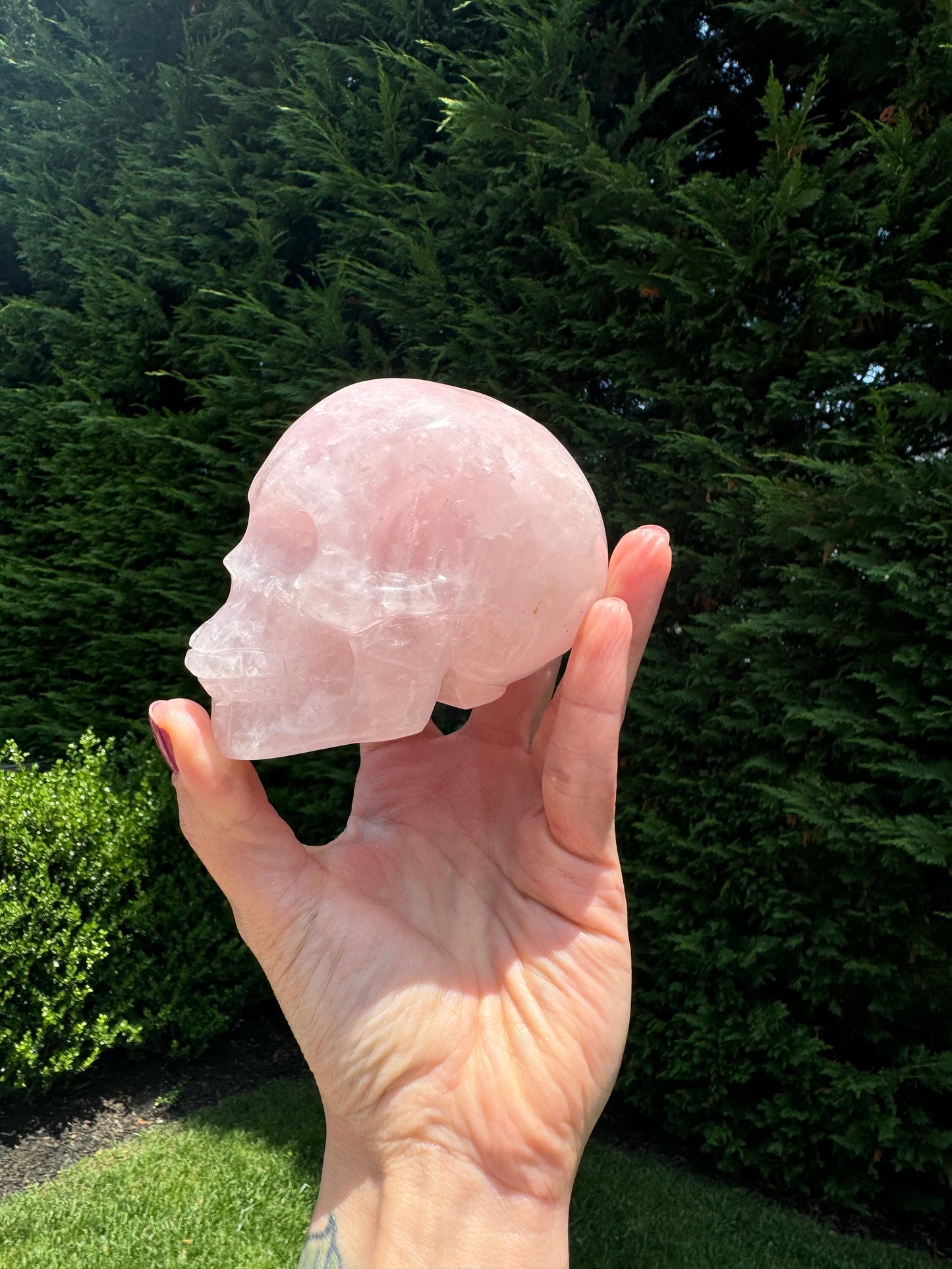Rose Quartz Skull Carving (3.75")
