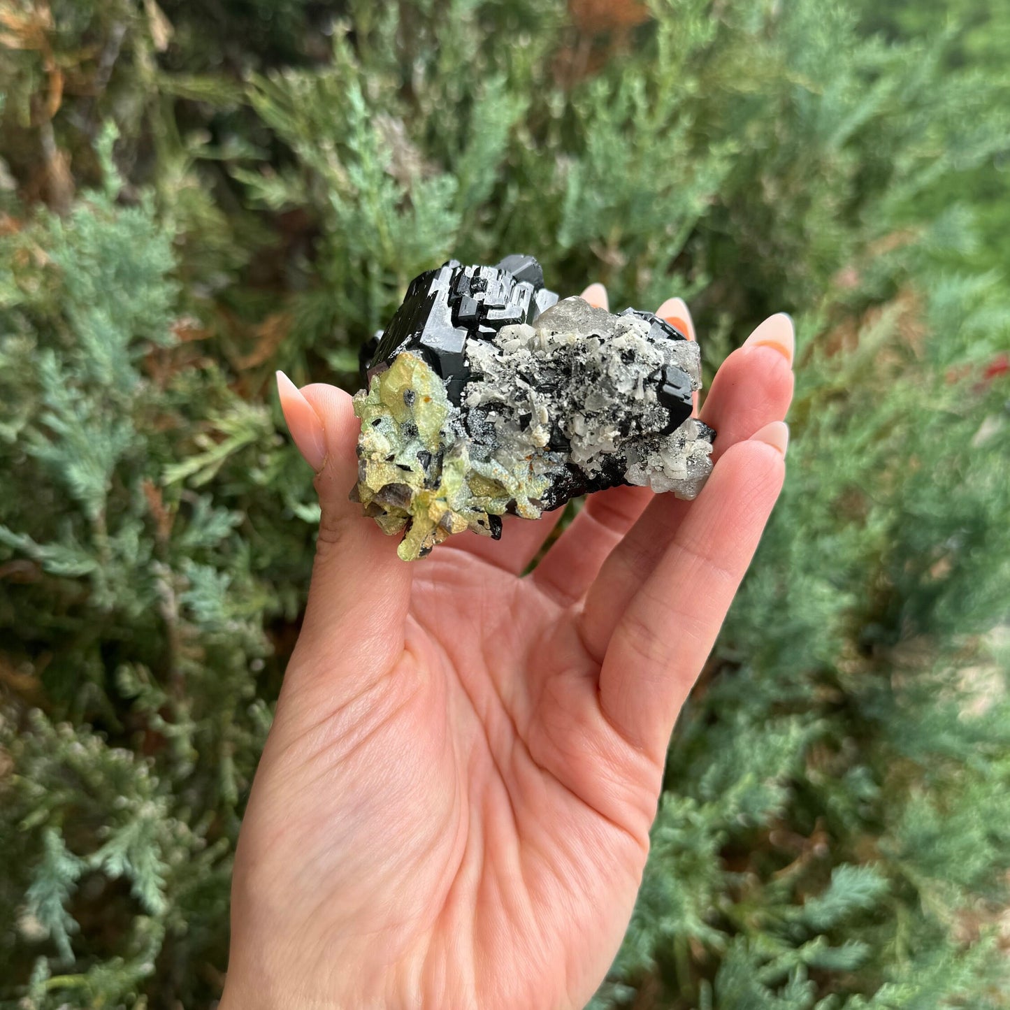 High Quality Black Tourmaline & Feldspar Specimen (Erongo, Namibia)