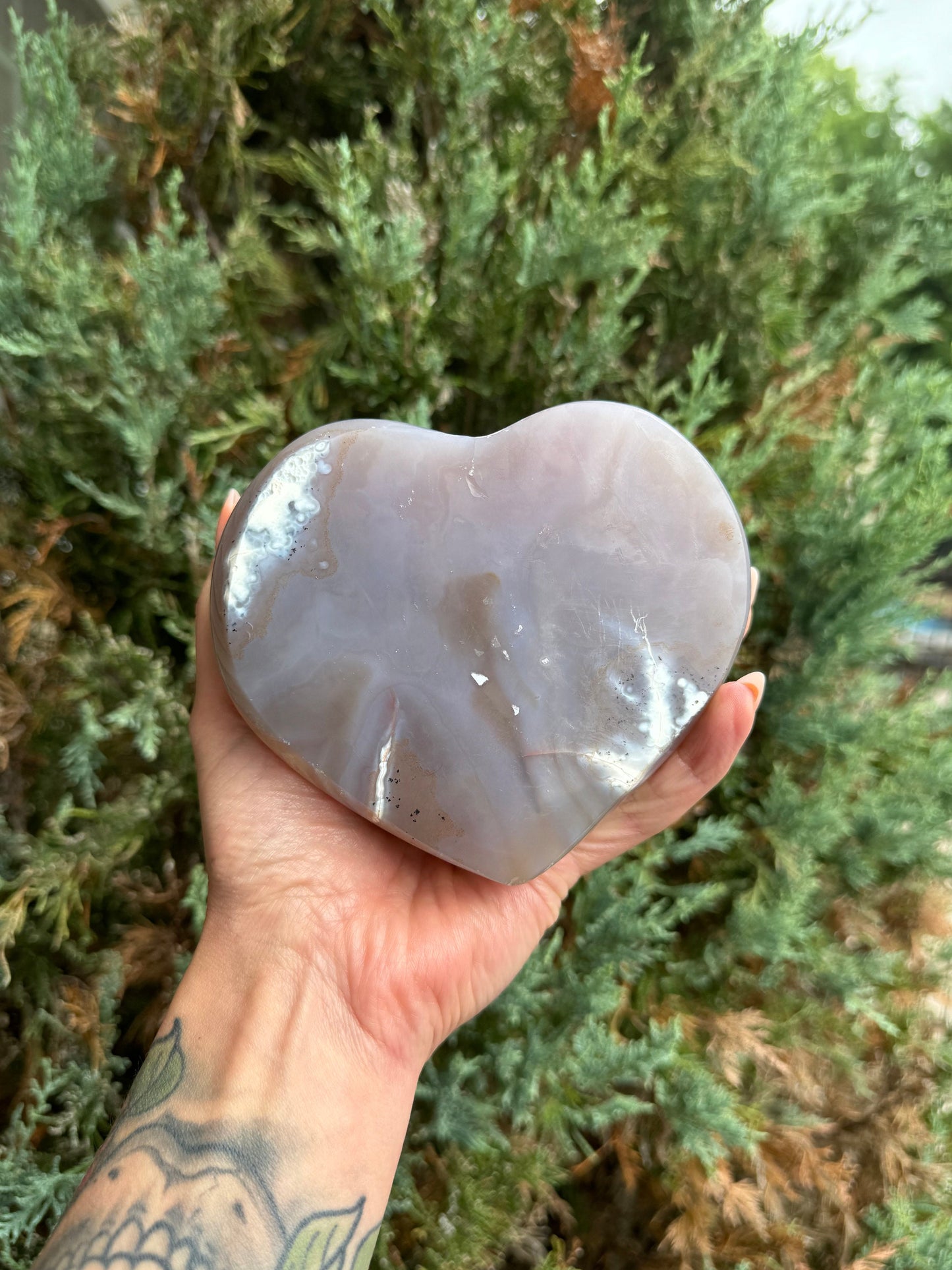 Golden Druzy Orca Agate Heart