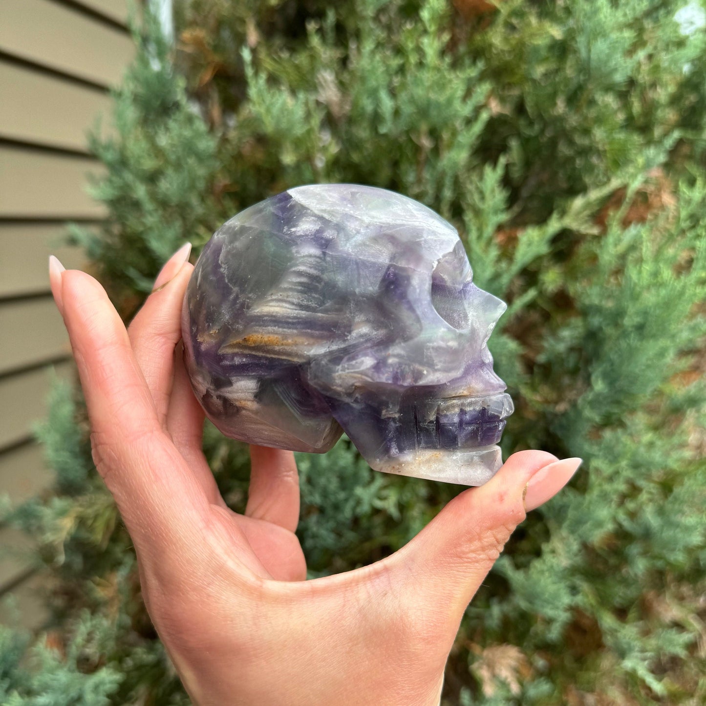 Banded Fluorite Skull Carving (1.7lbs)
