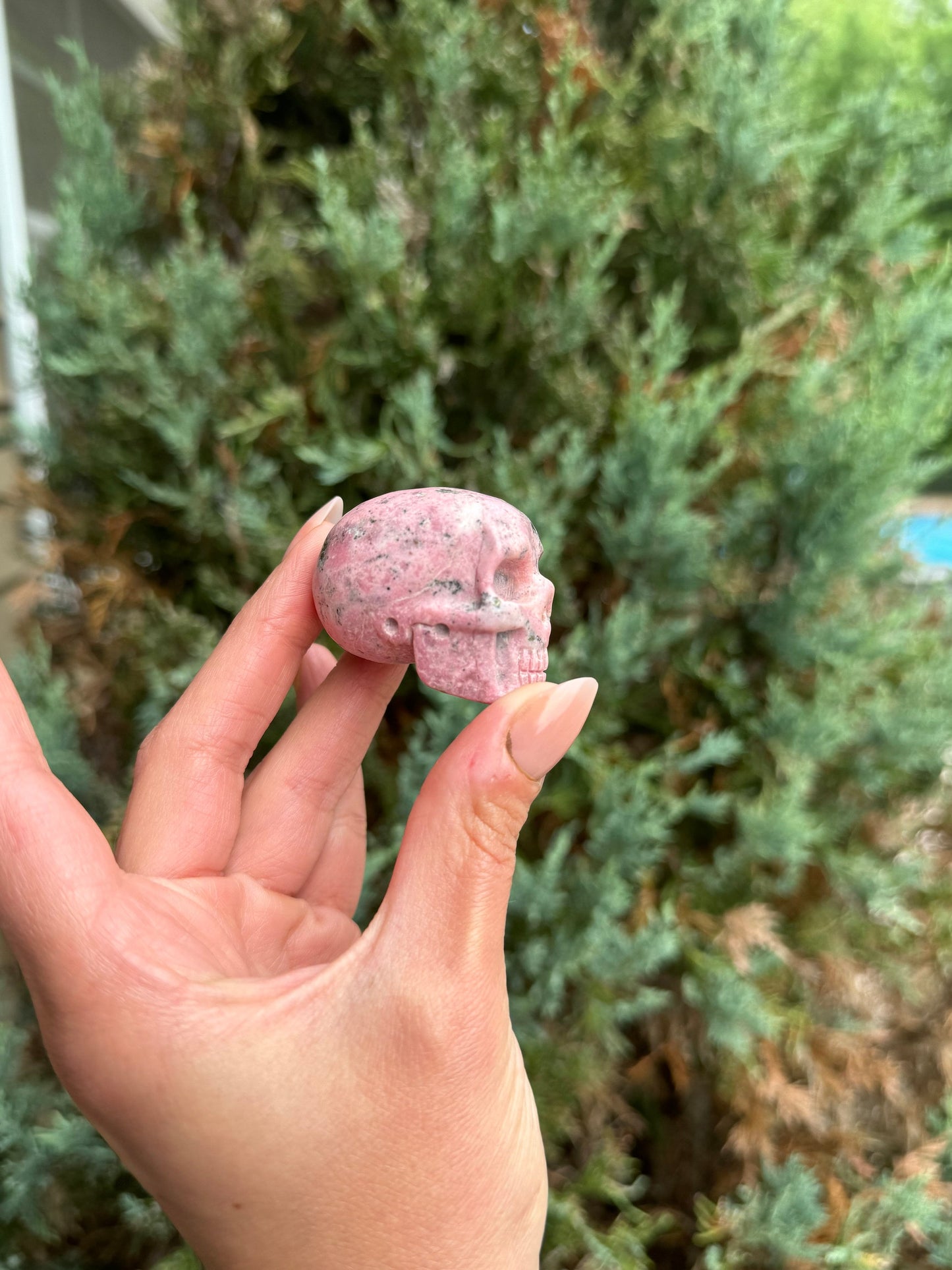 Peruvian Rhodonite Skull Carving