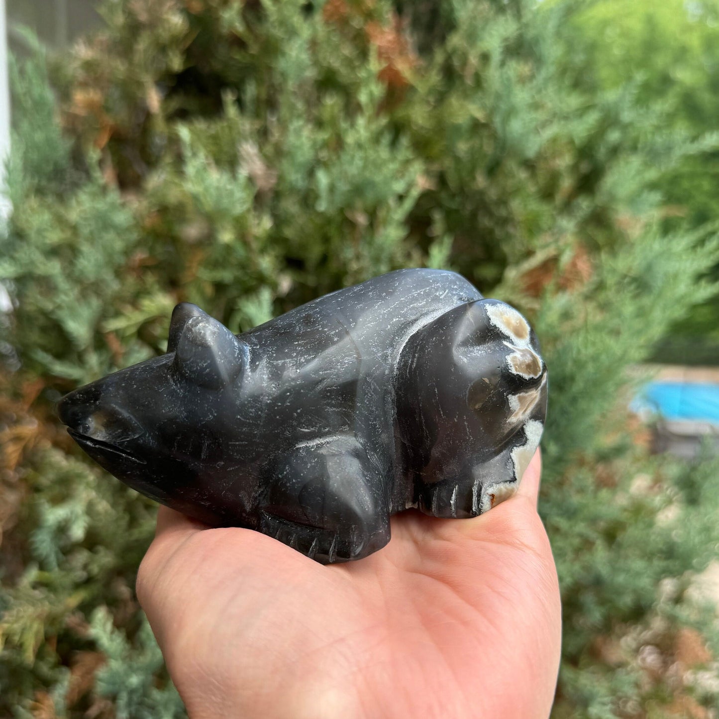 Volcano Agate Frog Carving