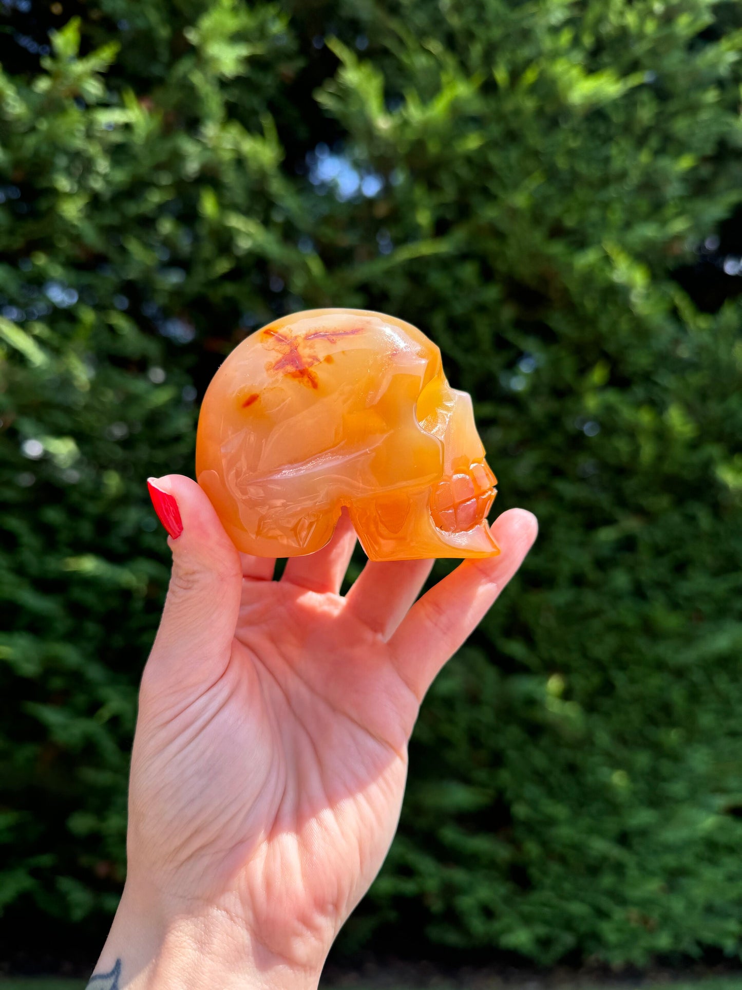 Carnelian Skull Carving