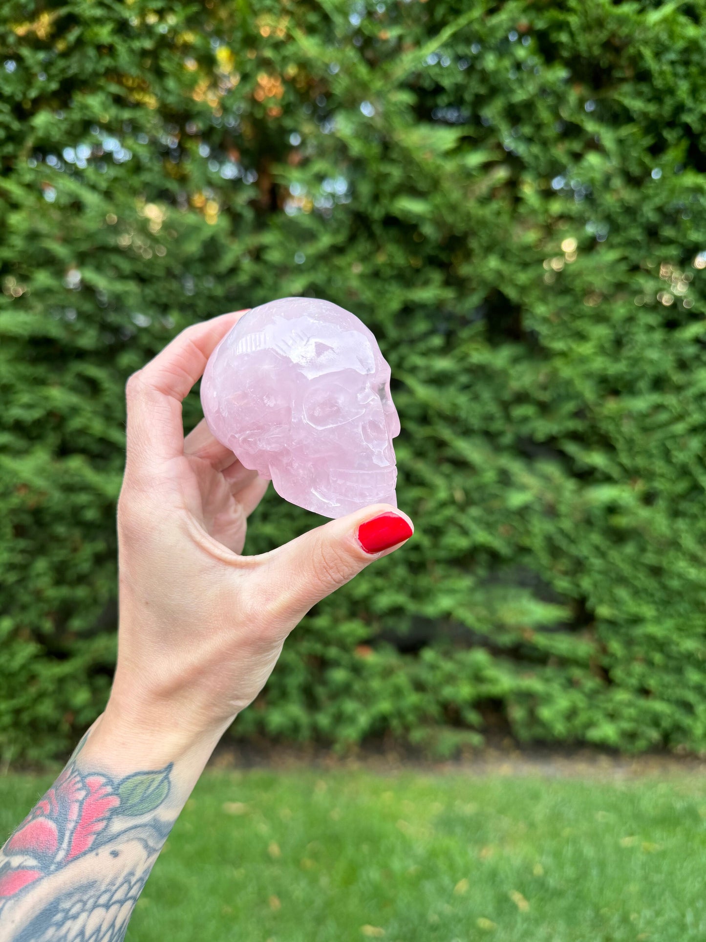 Rose Quartz Skull Carving (2.25")