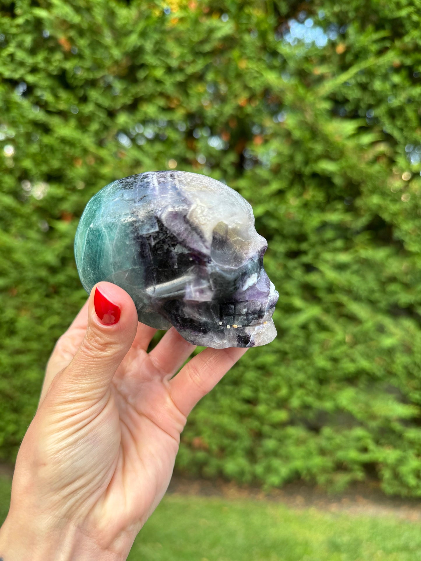 Green & Purple Fluorite Skull Carving (3.5")