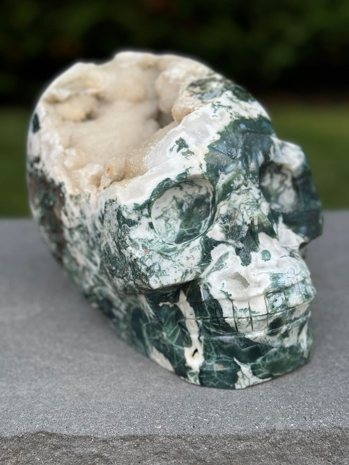 XL Red Moss Agate Hi-Def Skull Carving (17.5lbs)