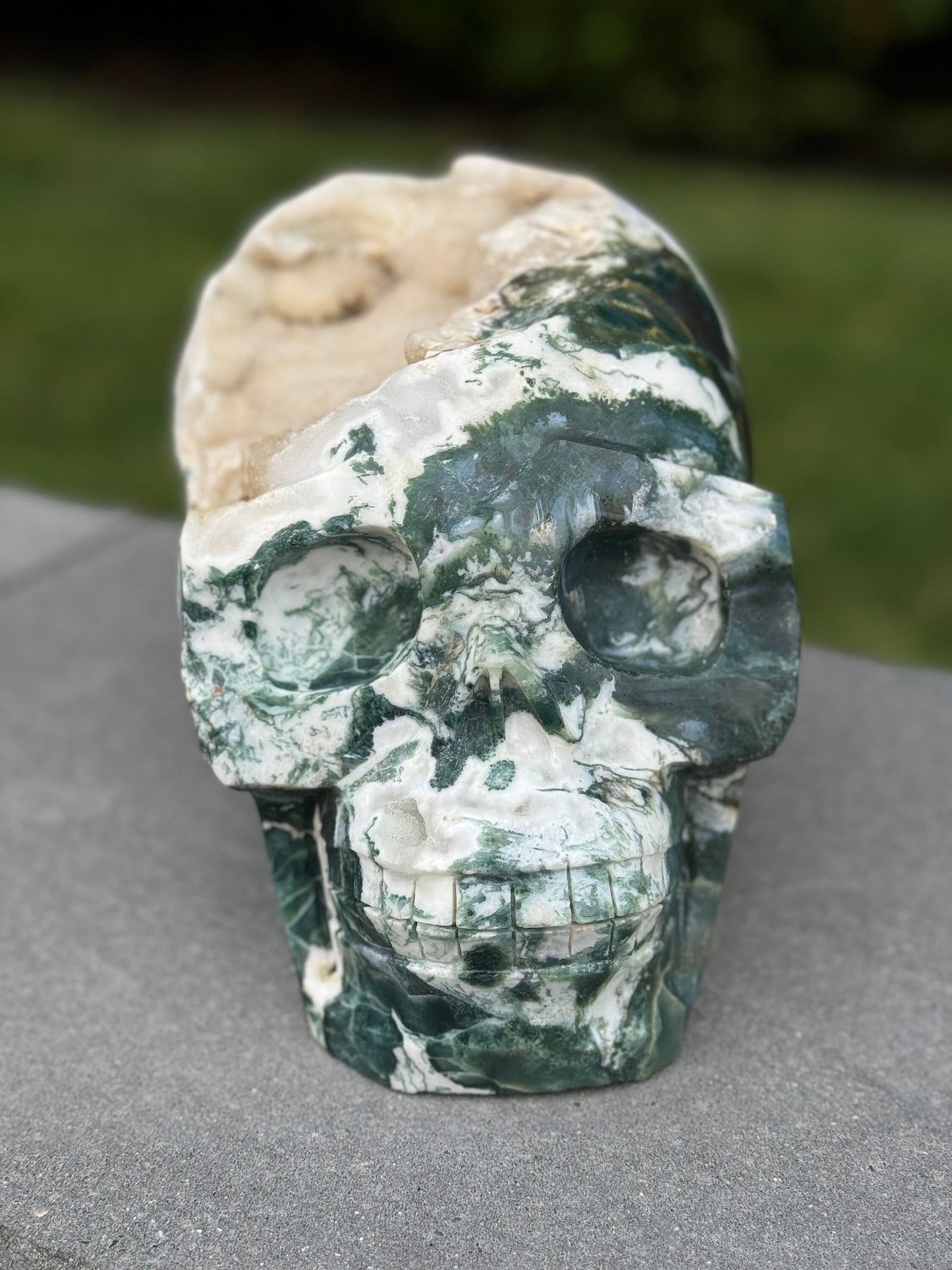 XL Red Moss Agate Hi-Def Skull Carving (17.5lbs)