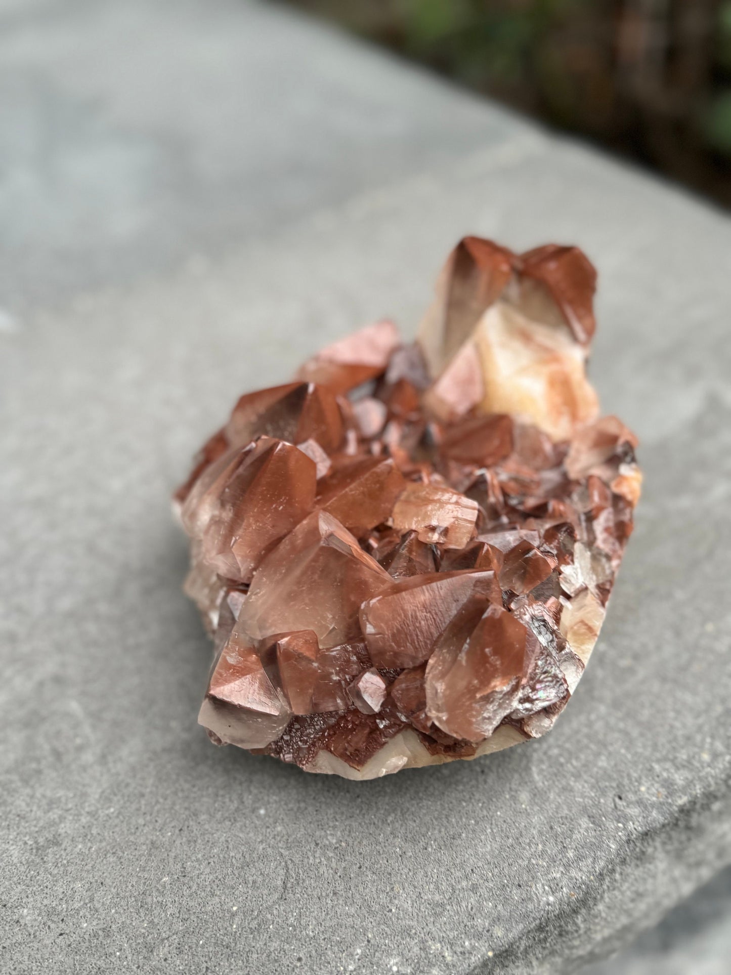 XL "Chocolate" Dogtooth Calcite Specimen