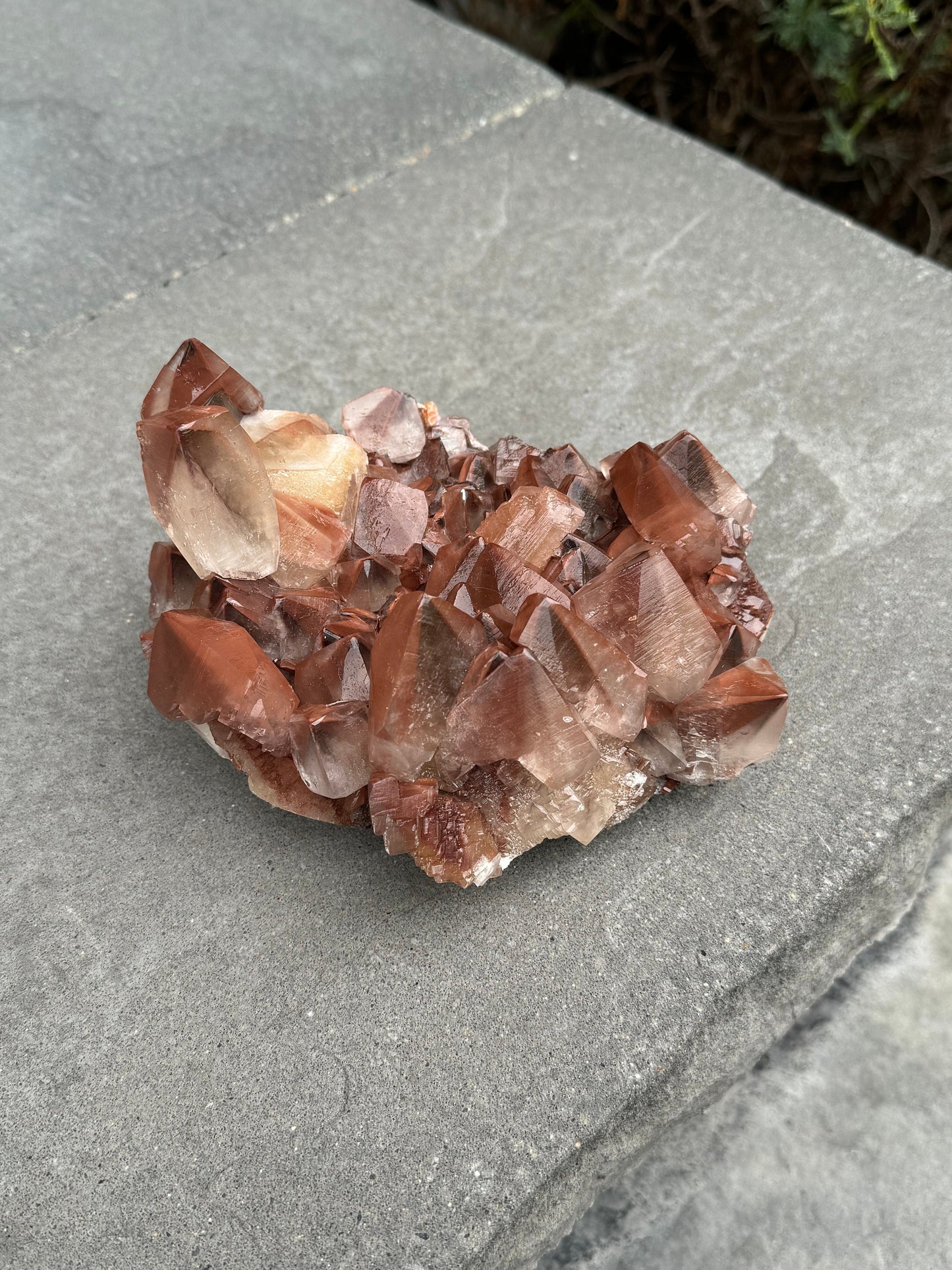 XL "Chocolate" Dogtooth Calcite Specimen