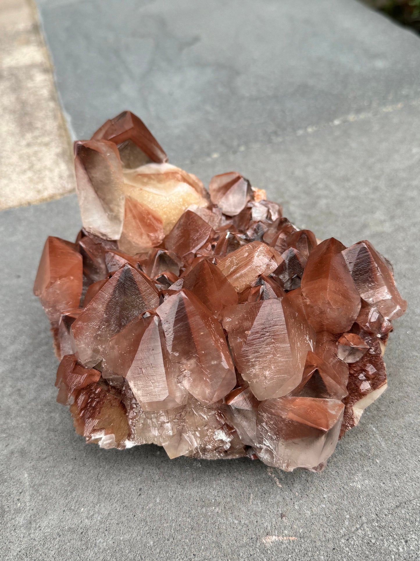 XL "Chocolate" Dogtooth Calcite Specimen
