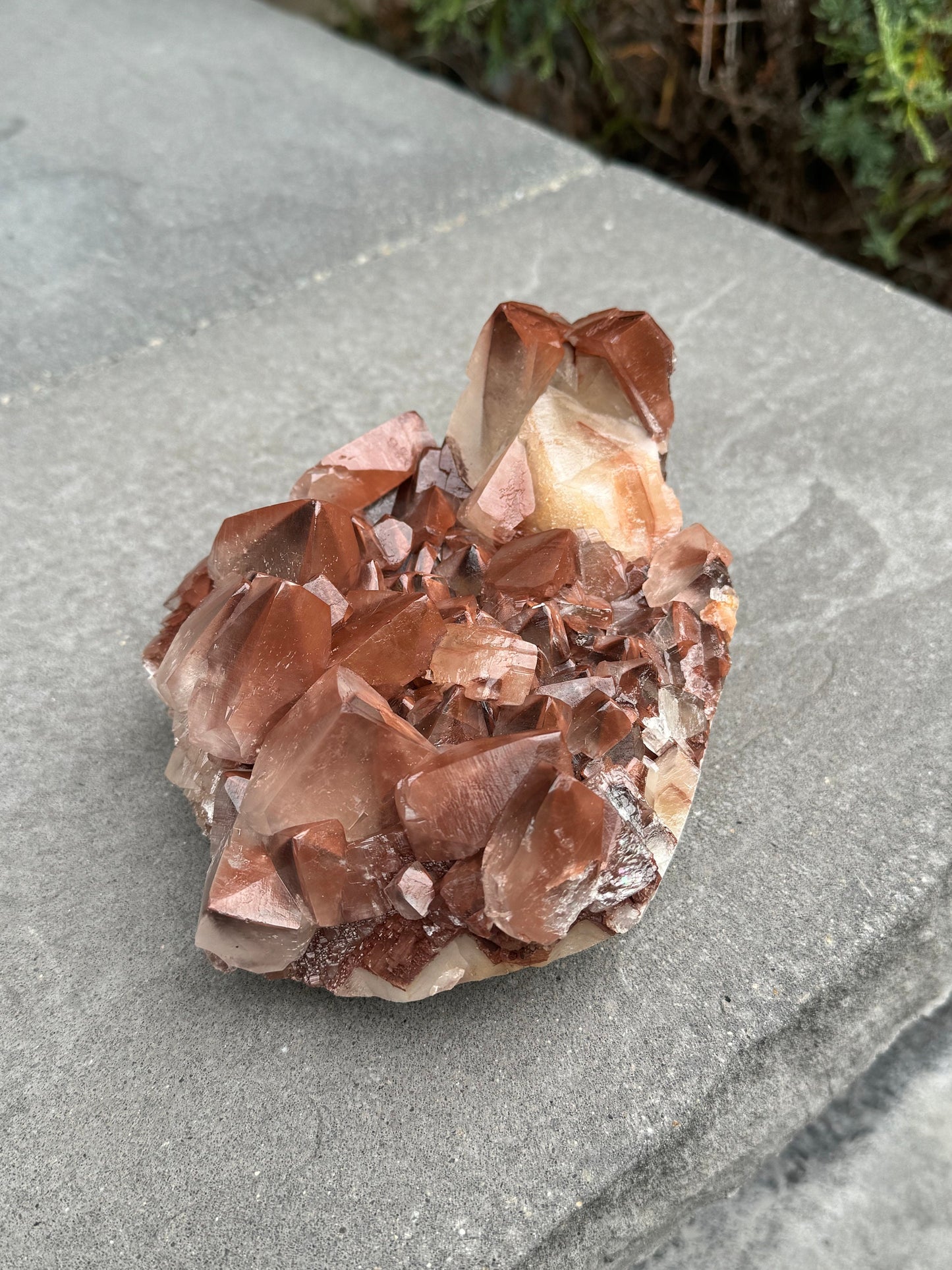 XL "Chocolate" Dogtooth Calcite Specimen